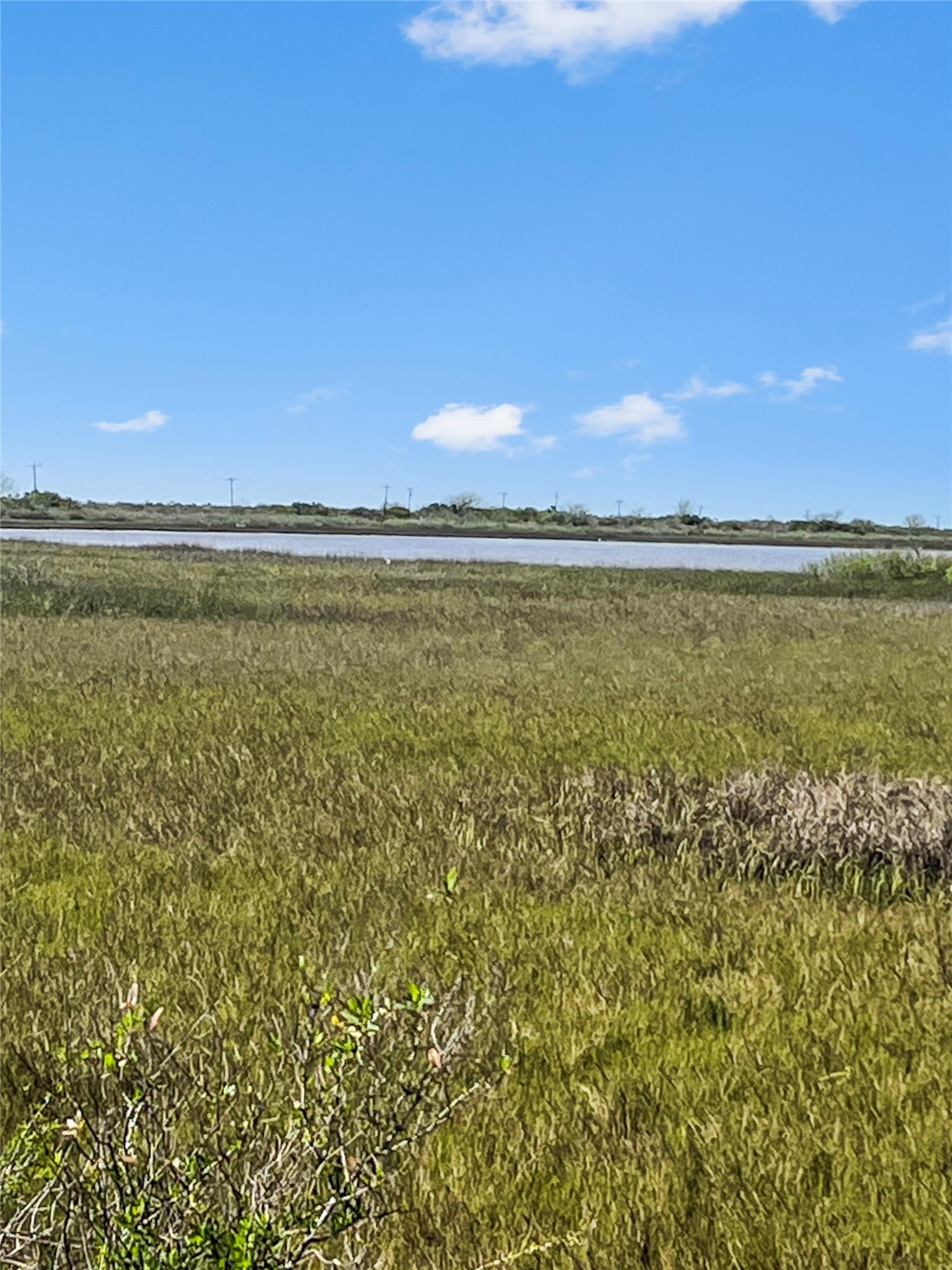 lot 1 Fm 2918 , Brazoria, TX, 77422 | 2670145 | Realty Texas LLC