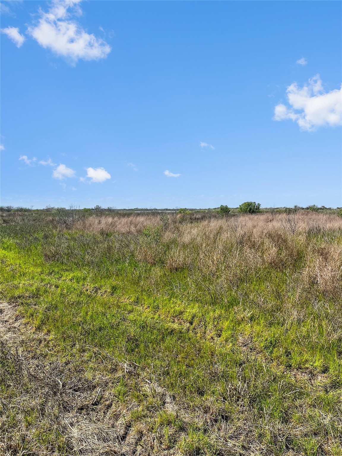 lot 1 Fm 2918 , Brazoria, TX, 77422 | 2670145 | Realty Texas LLC