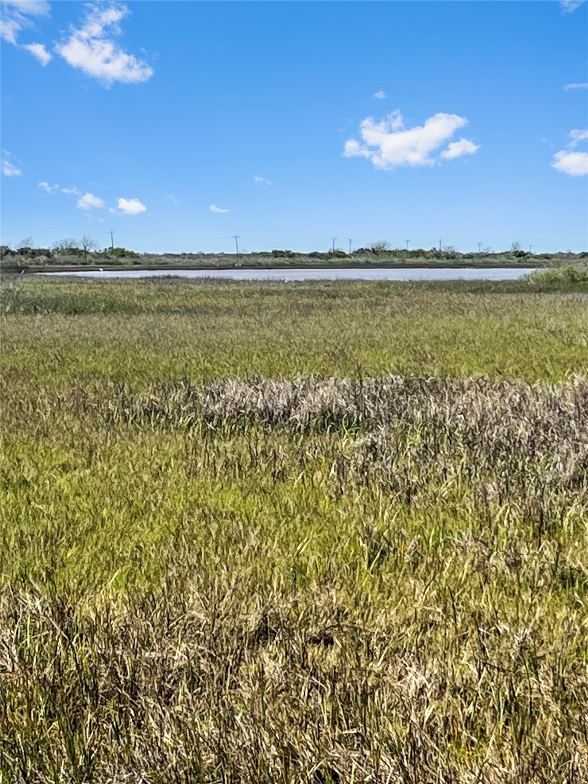 lot 1 Fm 2918 , Brazoria, TX, 77422 | 2670145 | Realty Texas LLC