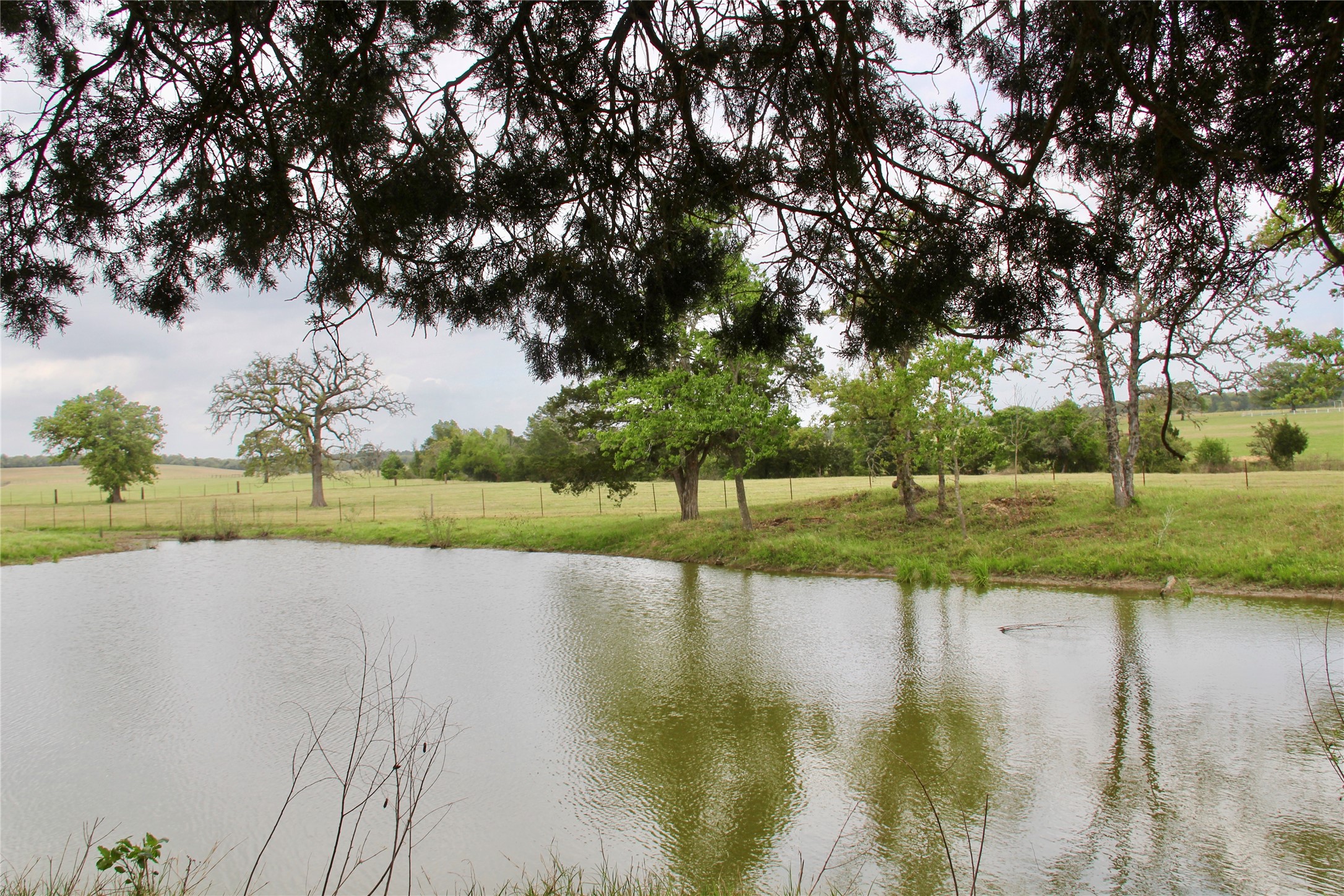 000 Edmonson, McDade, TX, 78650 | 8605069 | Realty Texas LLC