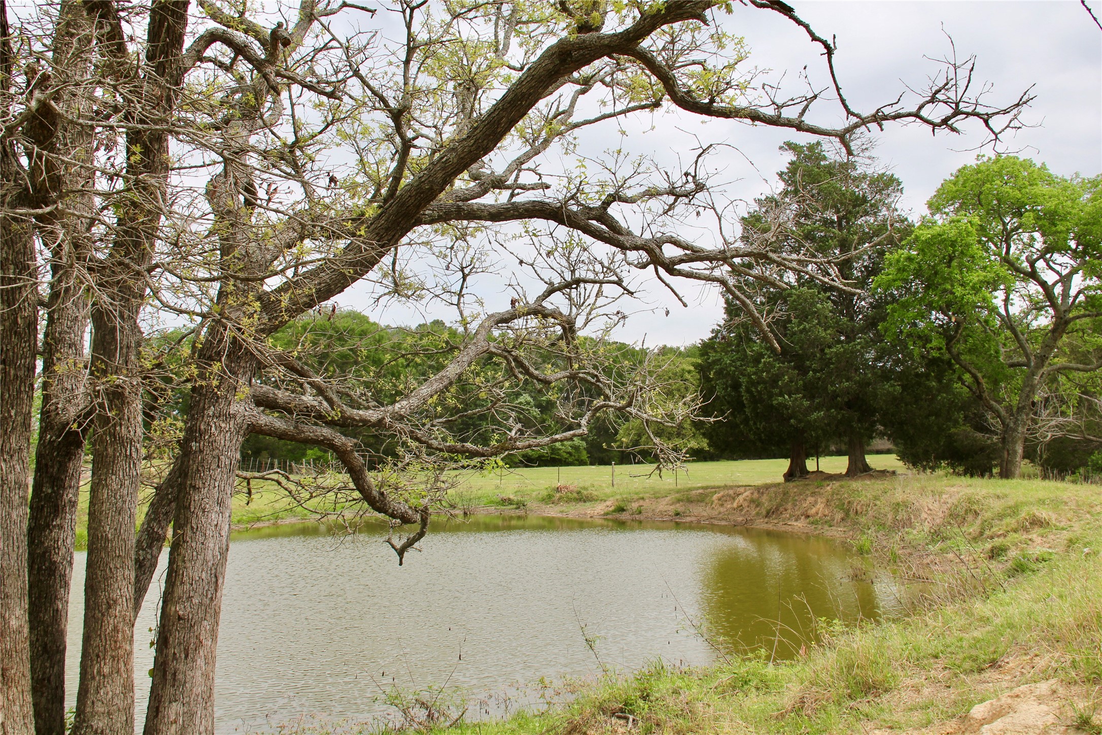 000 Edmonson, McDade, TX, 78650 | 8605069 | Realty Texas LLC