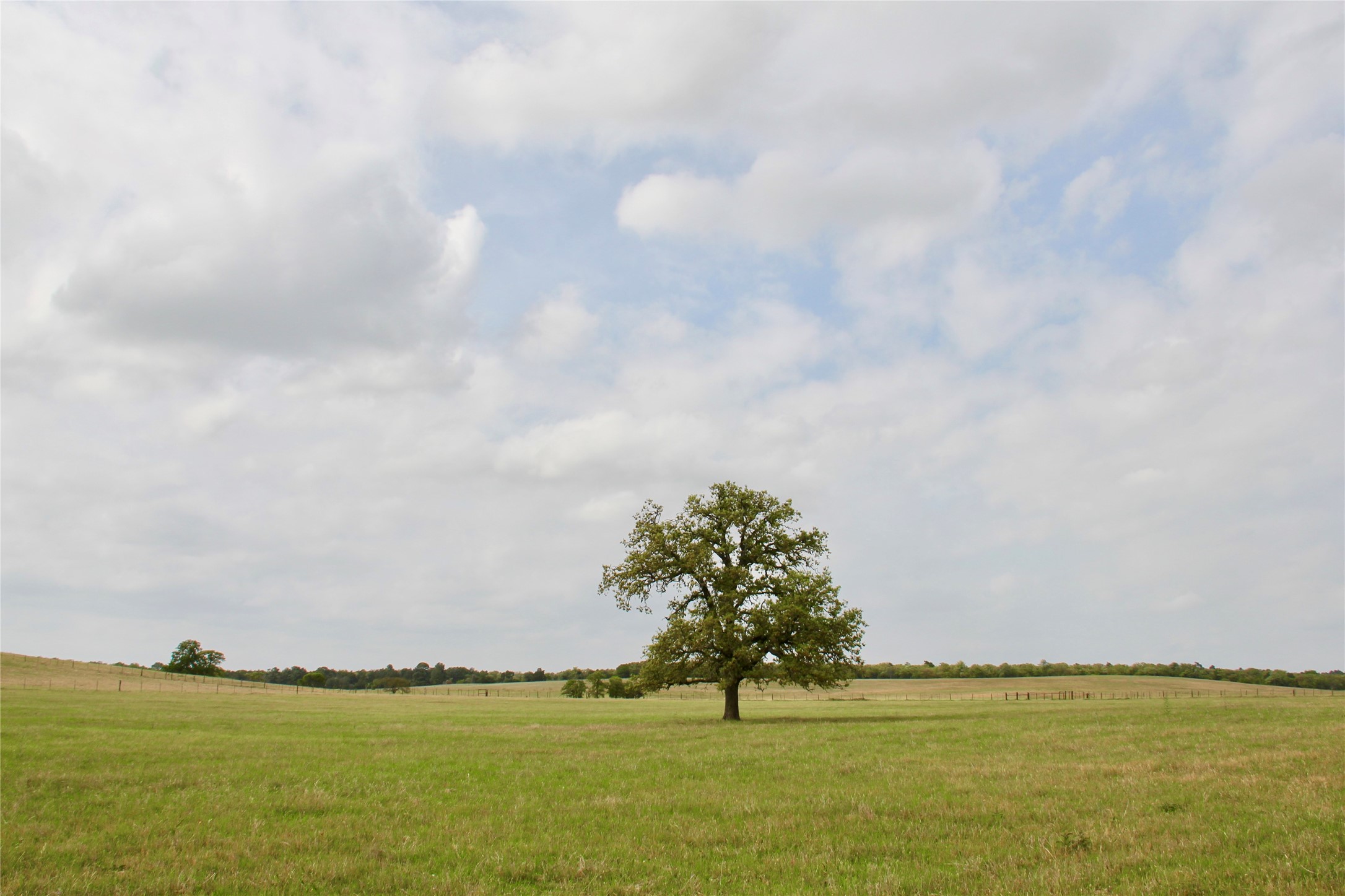000 Edmonson, McDade, TX, 78650 | 8605069 | Realty Texas LLC