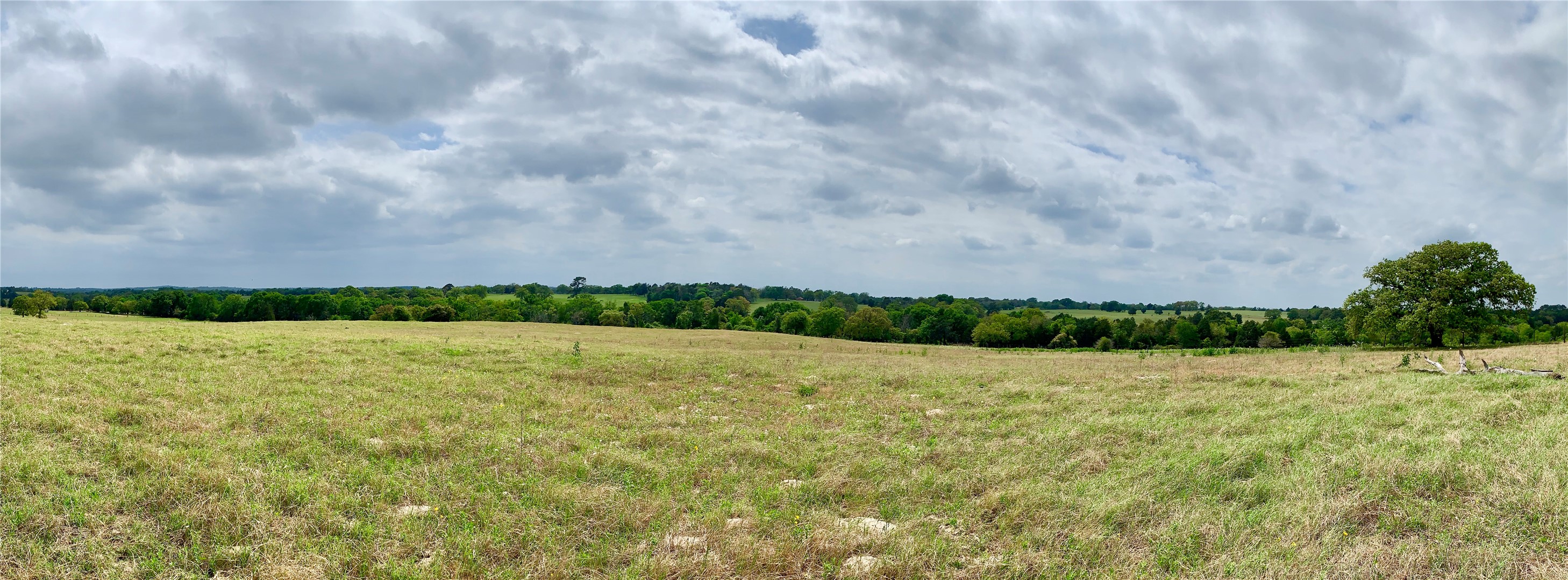 000 Edmonson, McDade, TX, 78650 | 8605069 | Realty Texas LLC