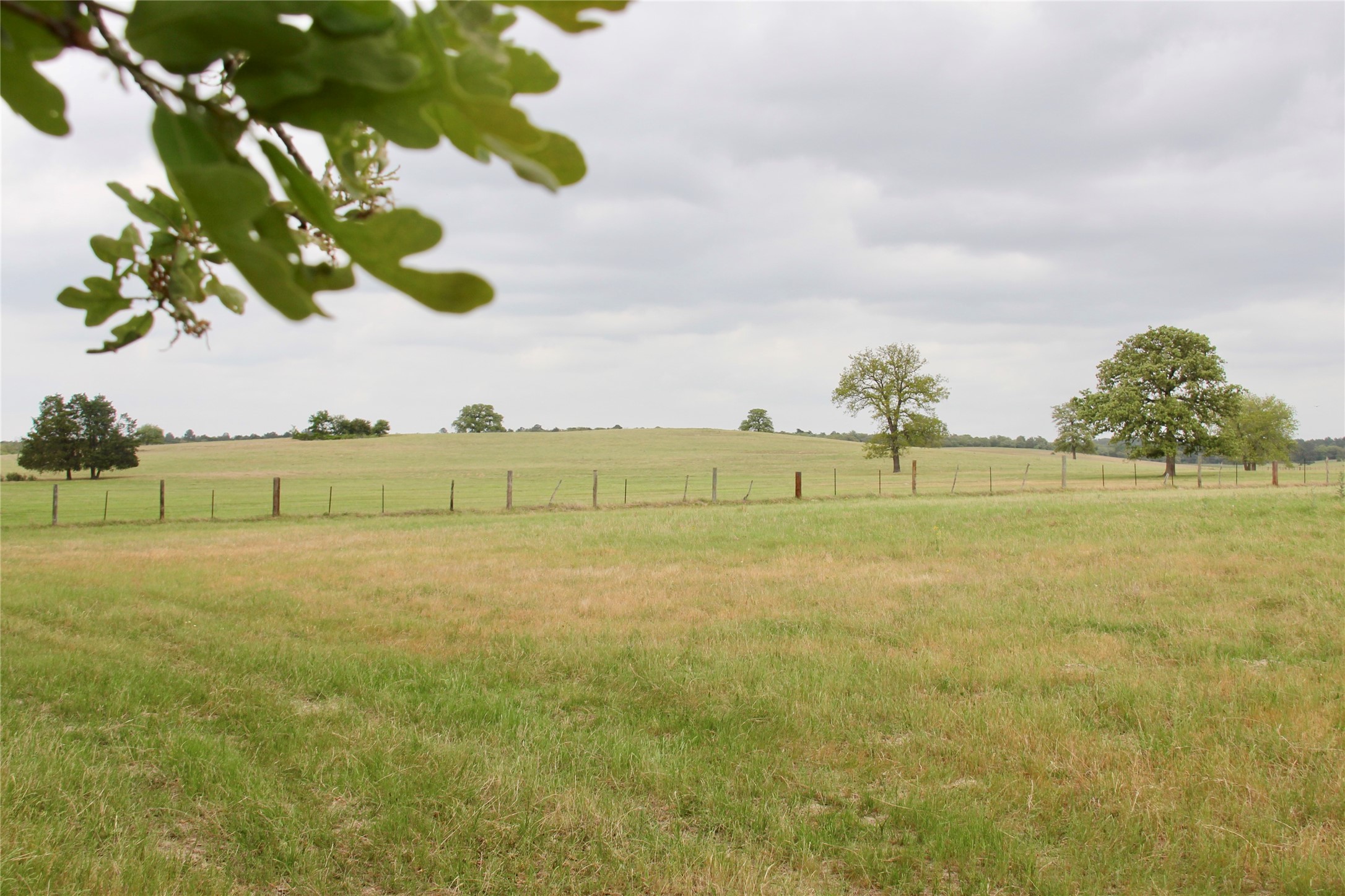 000 Edmonson, McDade, TX, 78650 | 8605069 | Realty Texas LLC