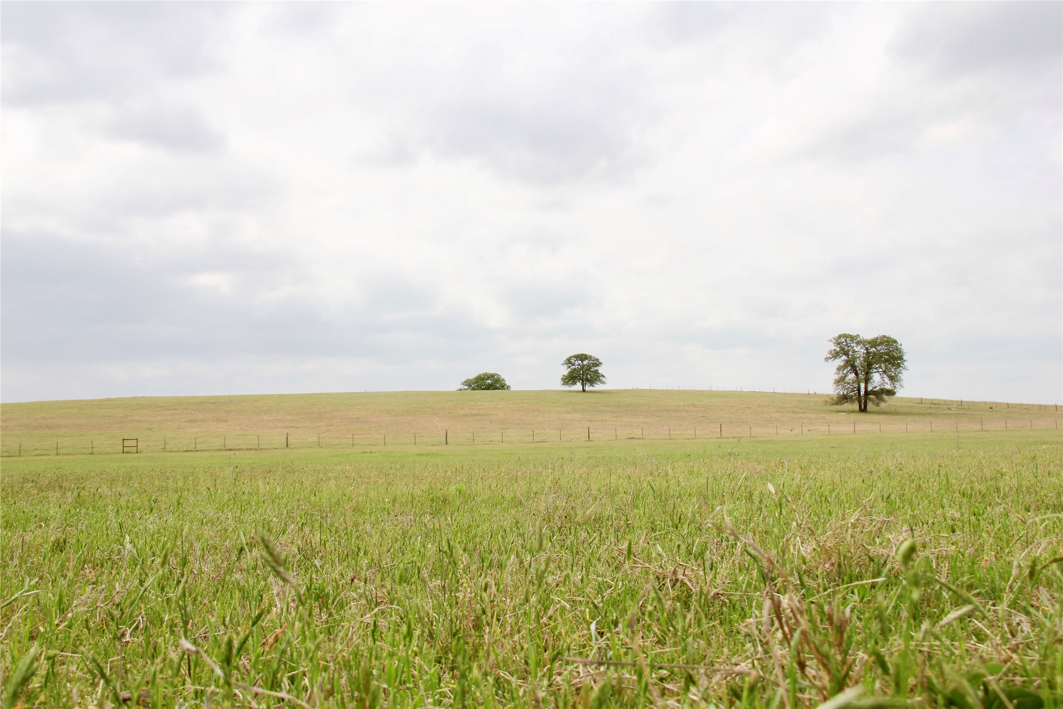 000 Edmonson, McDade, TX, 78650 | 8605069 | Realty Texas LLC