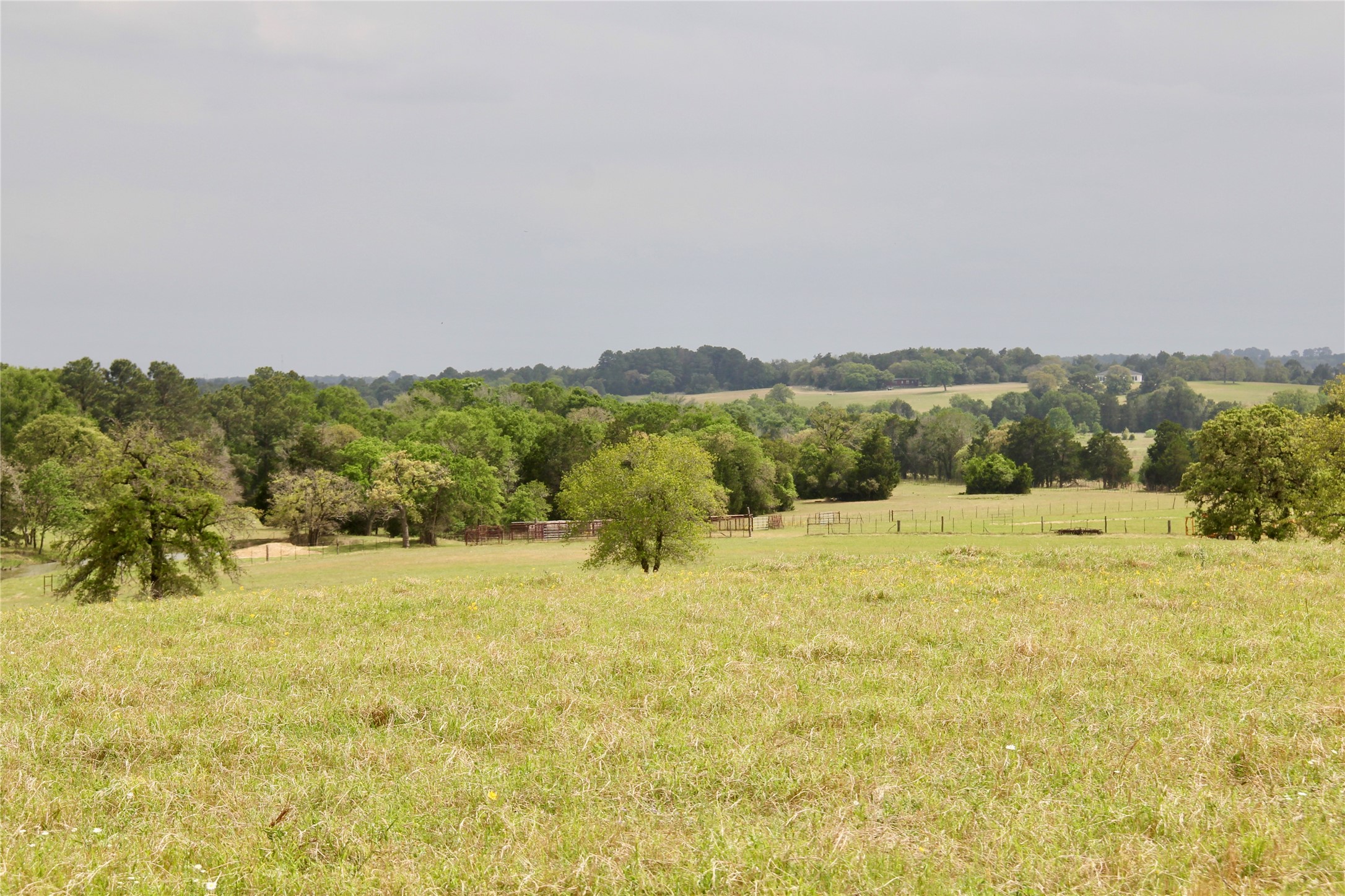 000 Edmonson, McDade, TX, 78650 | 8605069 | Realty Texas LLC