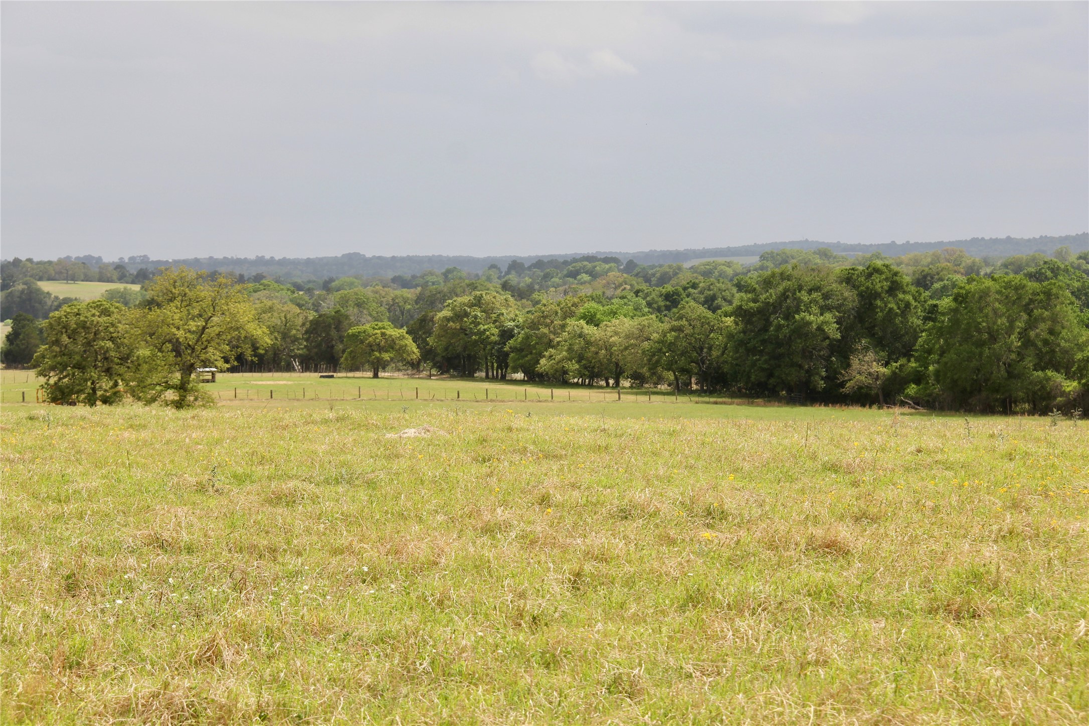 000 Edmonson, McDade, TX, 78650 | 8605069 | Realty Texas LLC