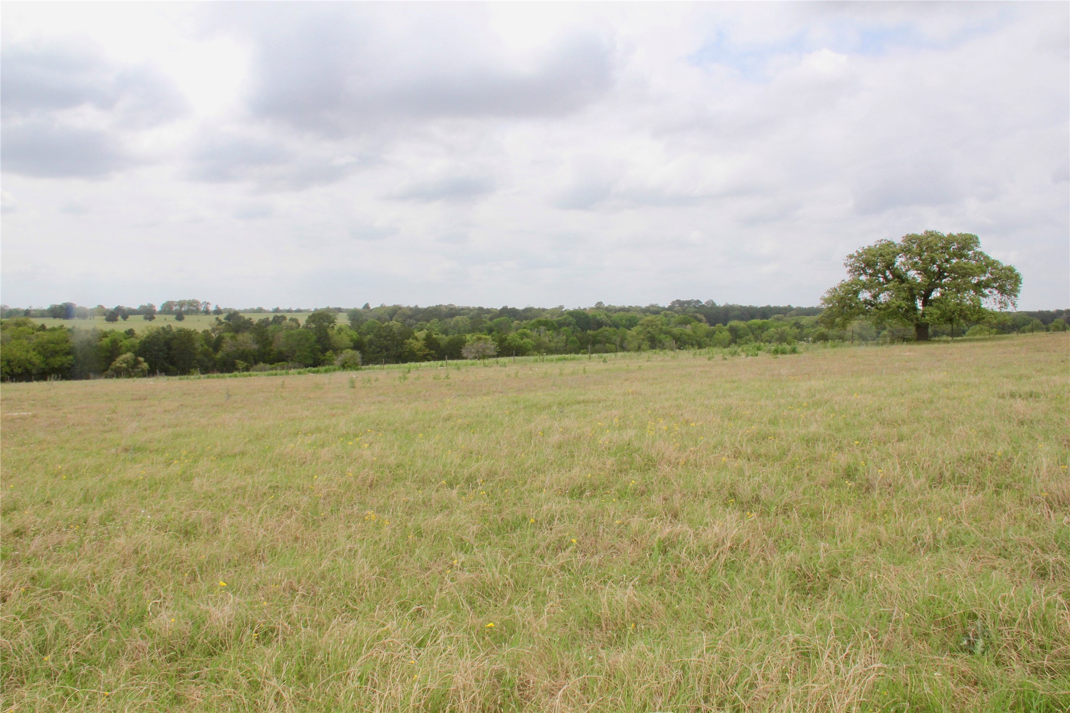 000 Edmonson, McDade, TX, 78650 | 8605069 | Realty Texas LLC