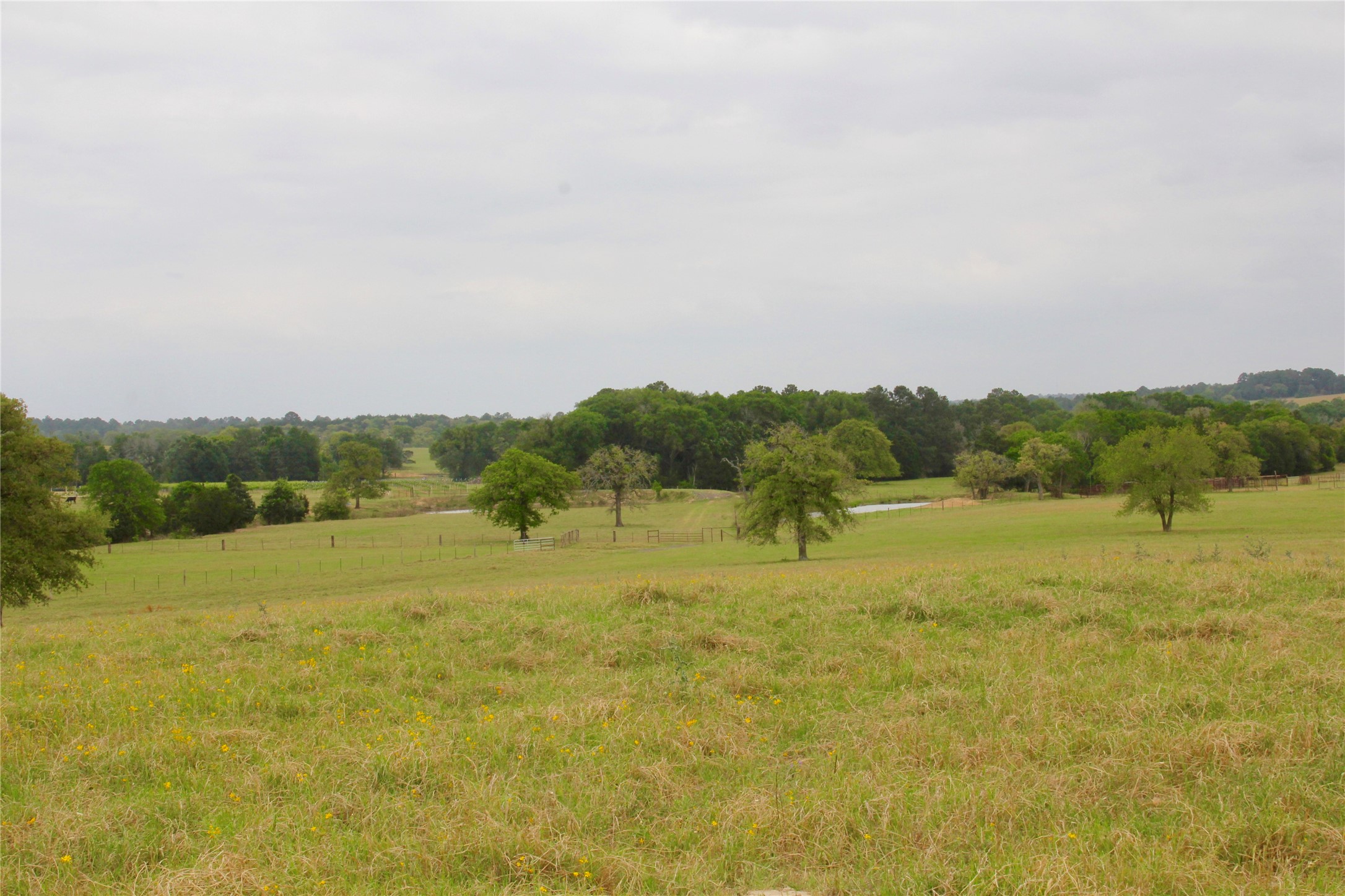 000 Edmonson, McDade, TX, 78650 | 8605069 | Realty Texas LLC