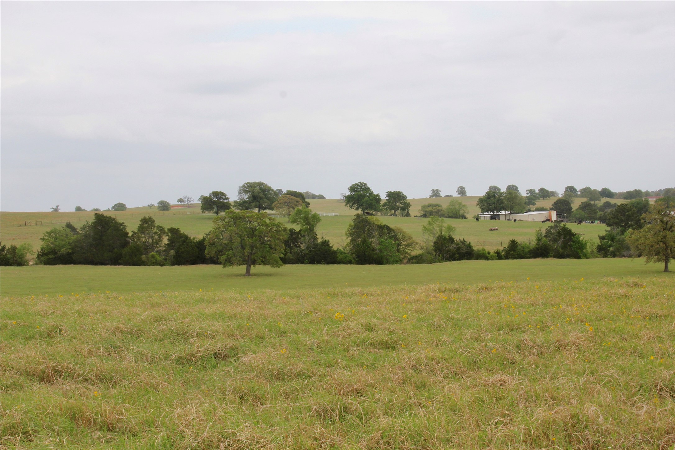 000 Edmonson, McDade, TX, 78650 | 8605069 | Realty Texas LLC