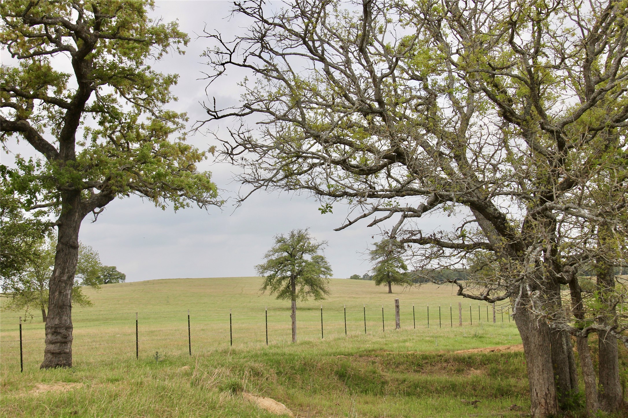 000 Edmonson, McDade, TX, 78650 | 8605069 | Realty Texas LLC