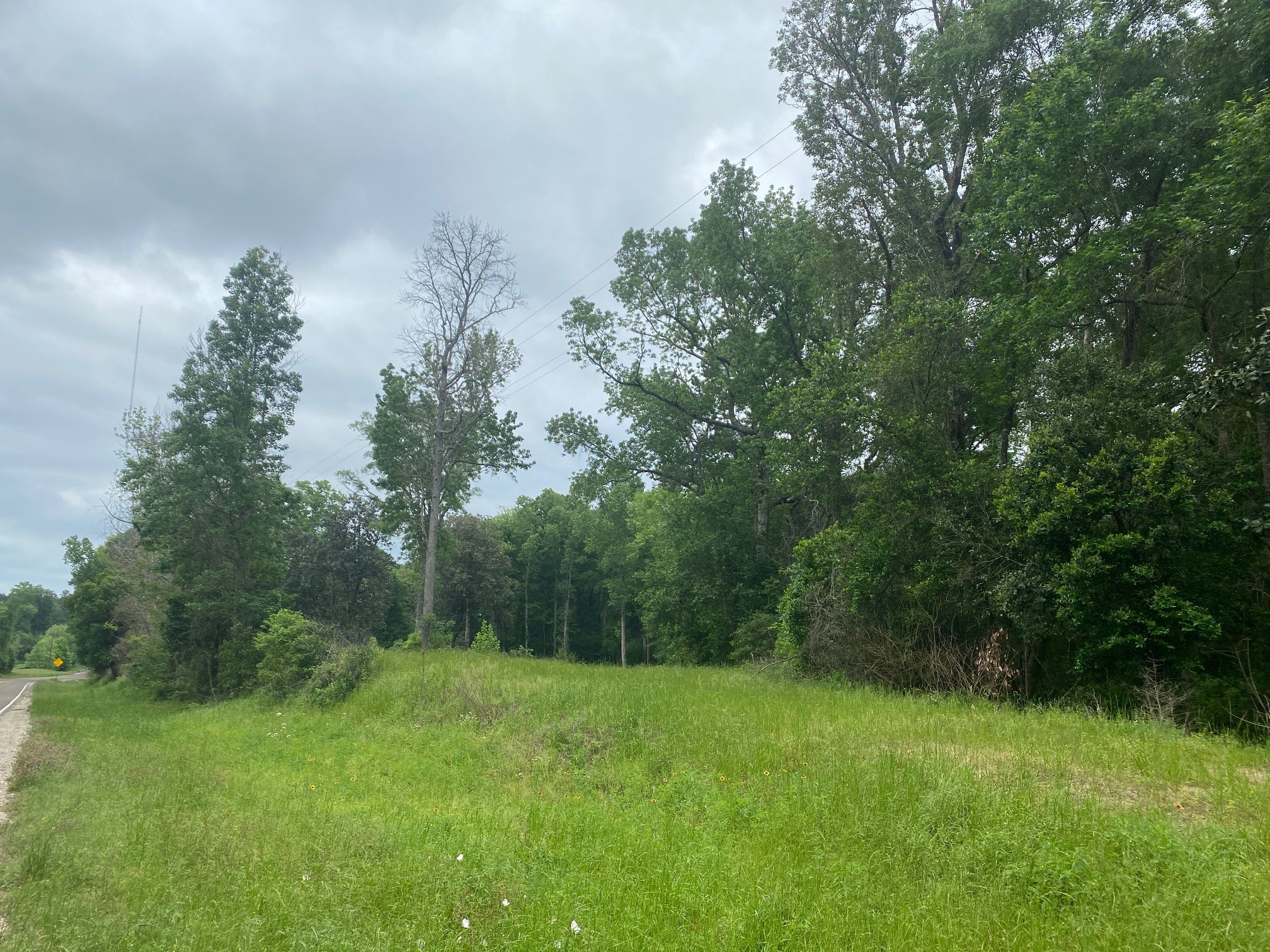 TBD 00 Fm 222 Loop S, Coldspring, TX, 77331 | 9576370 | Realty Texas LLC