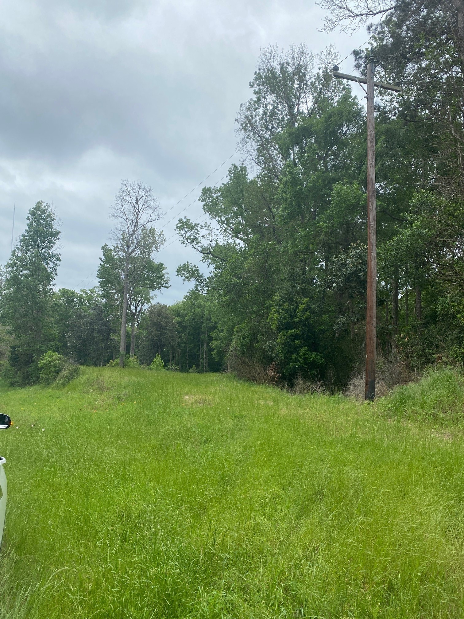 TBD 00 Fm 222 Loop S, Coldspring, TX, 77331 | 9576370 | Realty Texas LLC