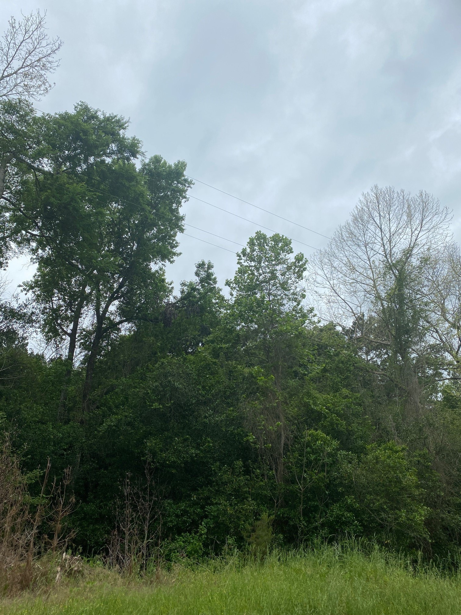 TBD 00 Fm 222 Loop S, Coldspring, TX, 77331 | 9576370 | Realty Texas LLC