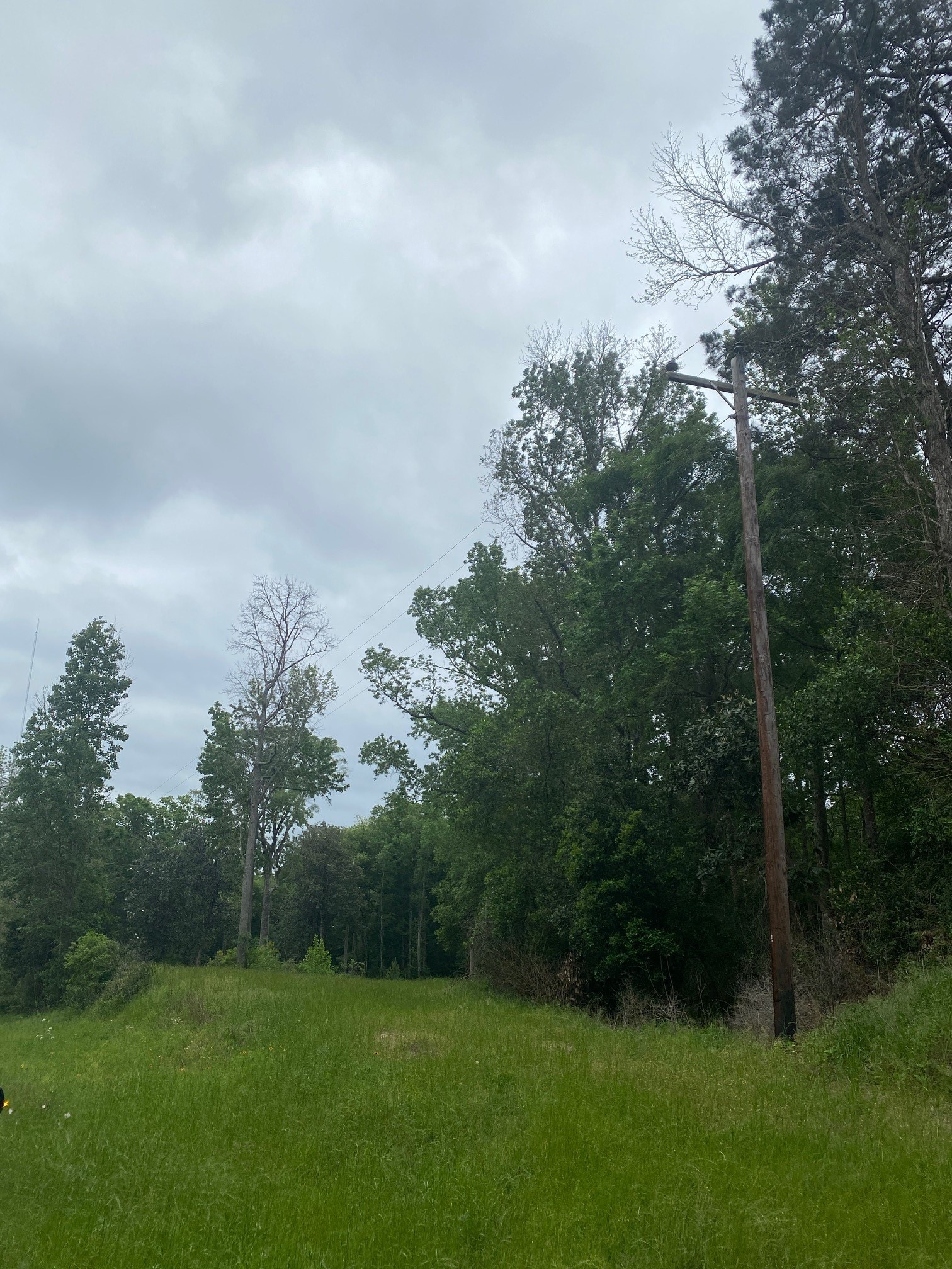 TBD 00 Fm 222 Loop S, Coldspring, TX, 77331 | 9576370 | Realty Texas LLC