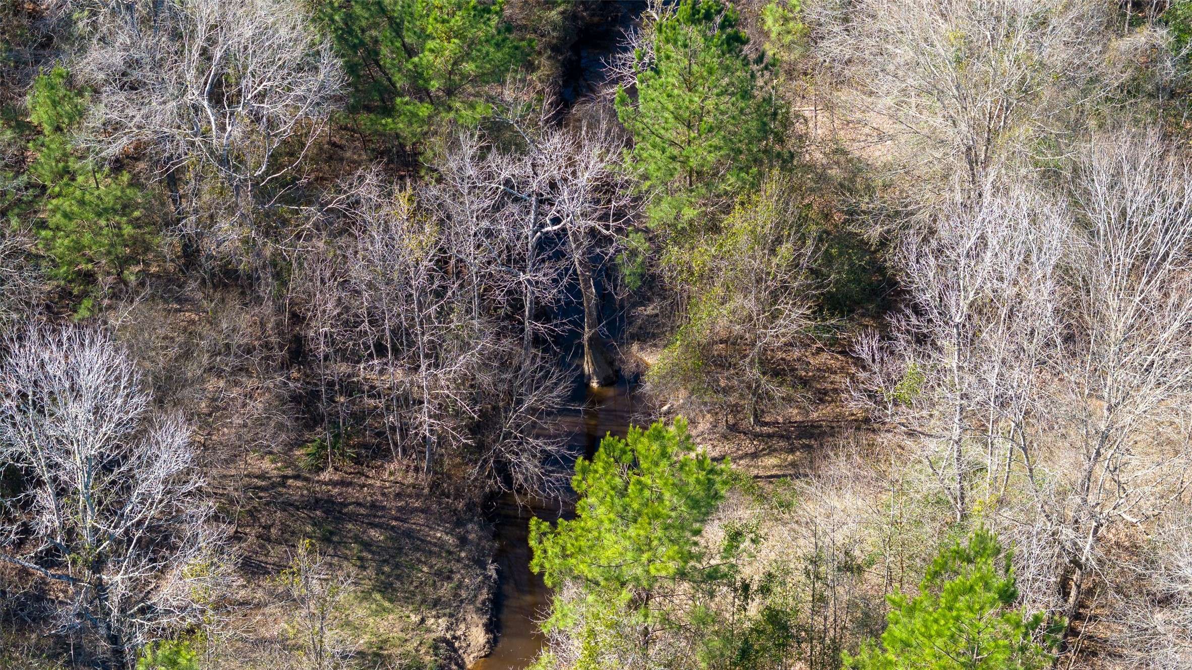0 Whispering Pines Drive, Lumberton, TX, 77657 | 63123248 | Realty Texas LLC