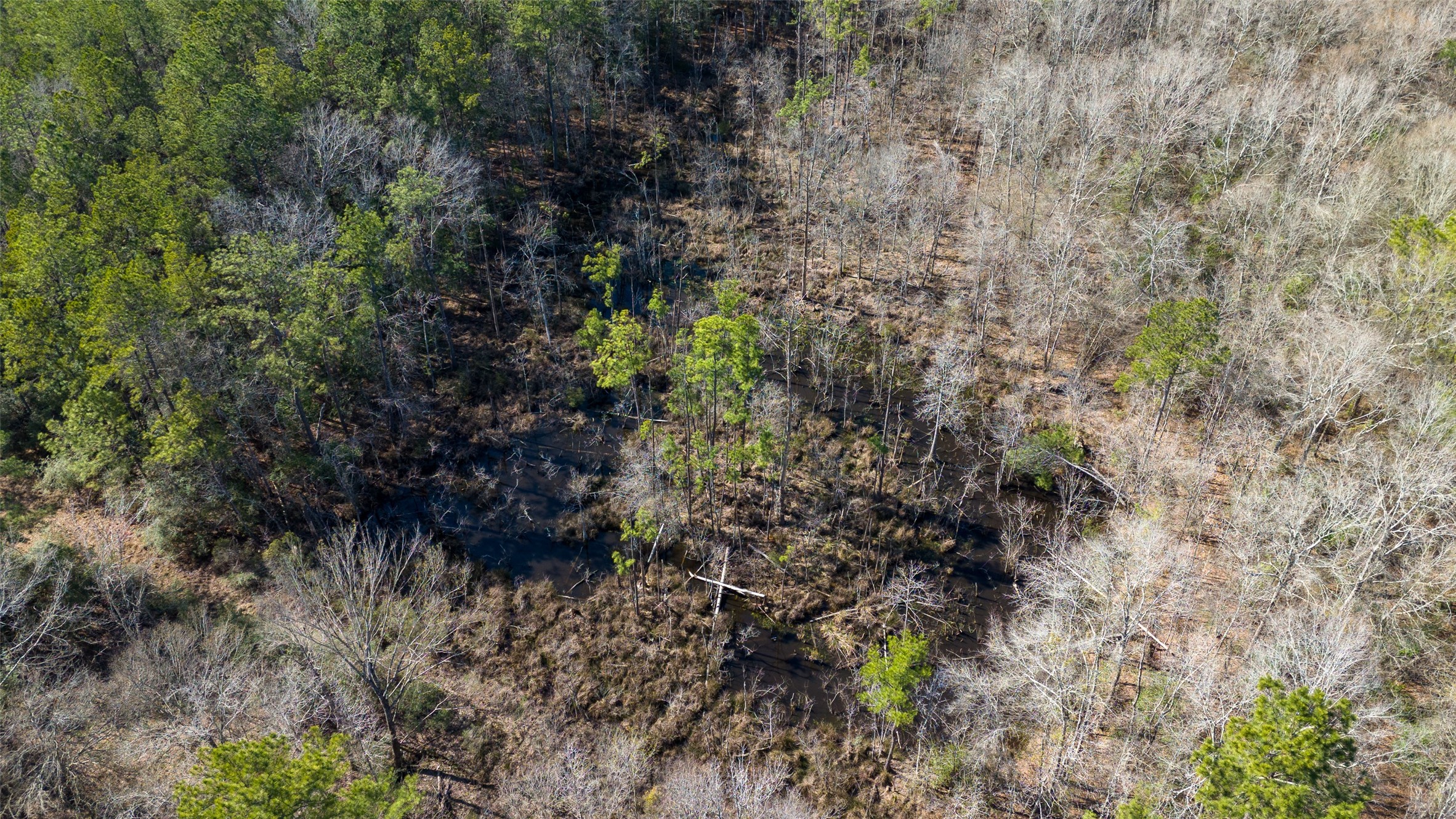 0 Whispering Pines Drive, Lumberton, TX, 77657 | 63123248 | Realty Texas LLC