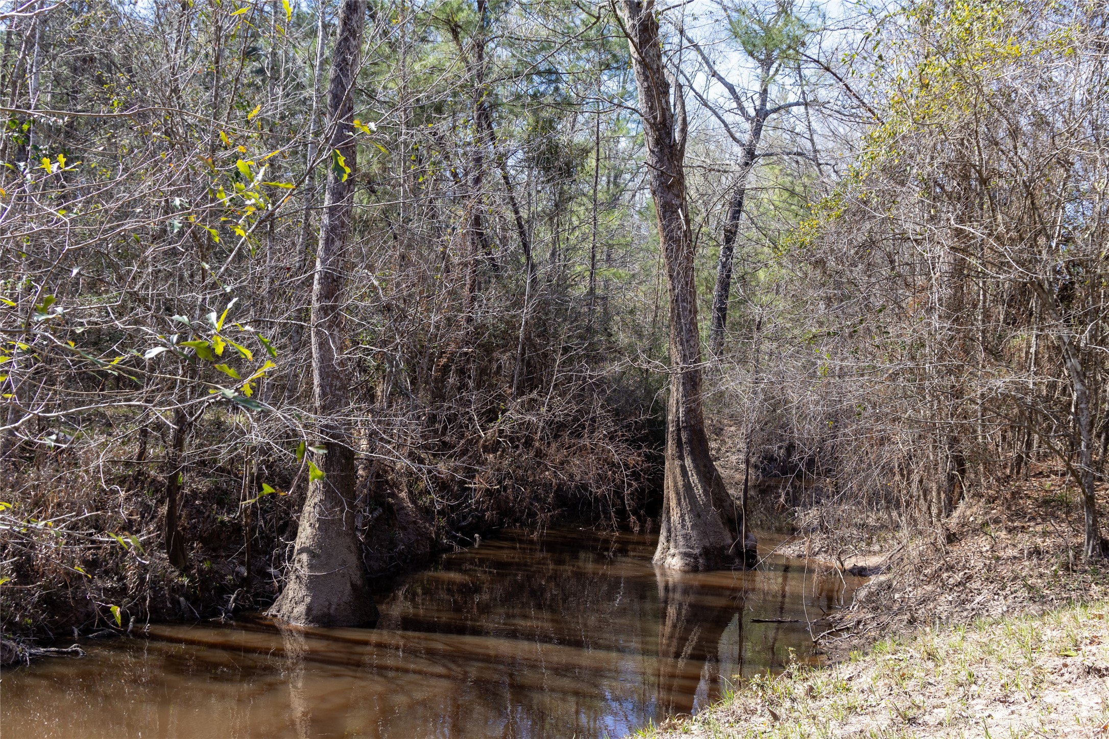 0 Whispering Pines Drive, Lumberton, TX, 77657 | 63123248 | Realty Texas LLC