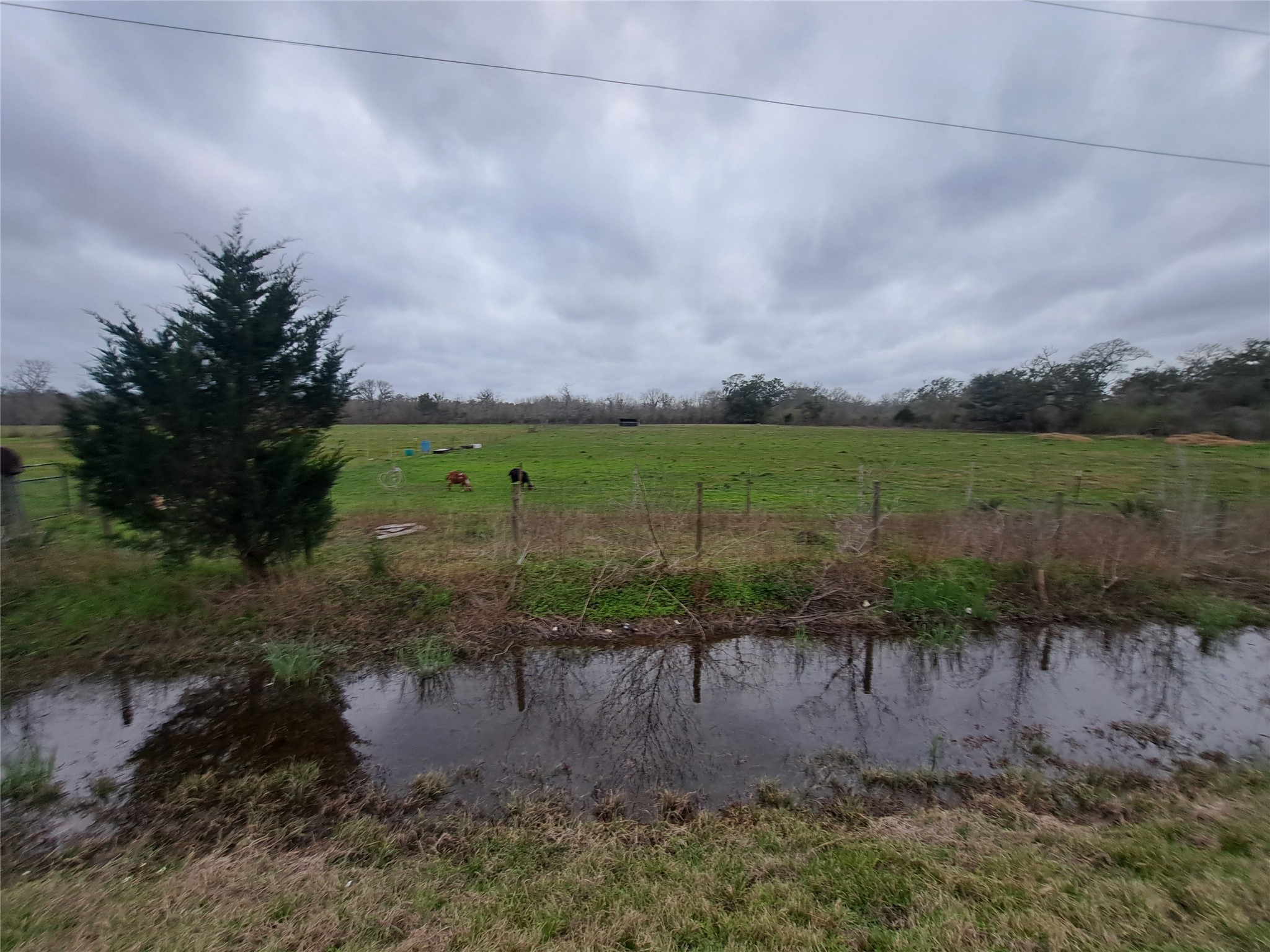 000 County Road 461 , Brazoria, TX, 77422 | 44953922 | Realty Texas LLC