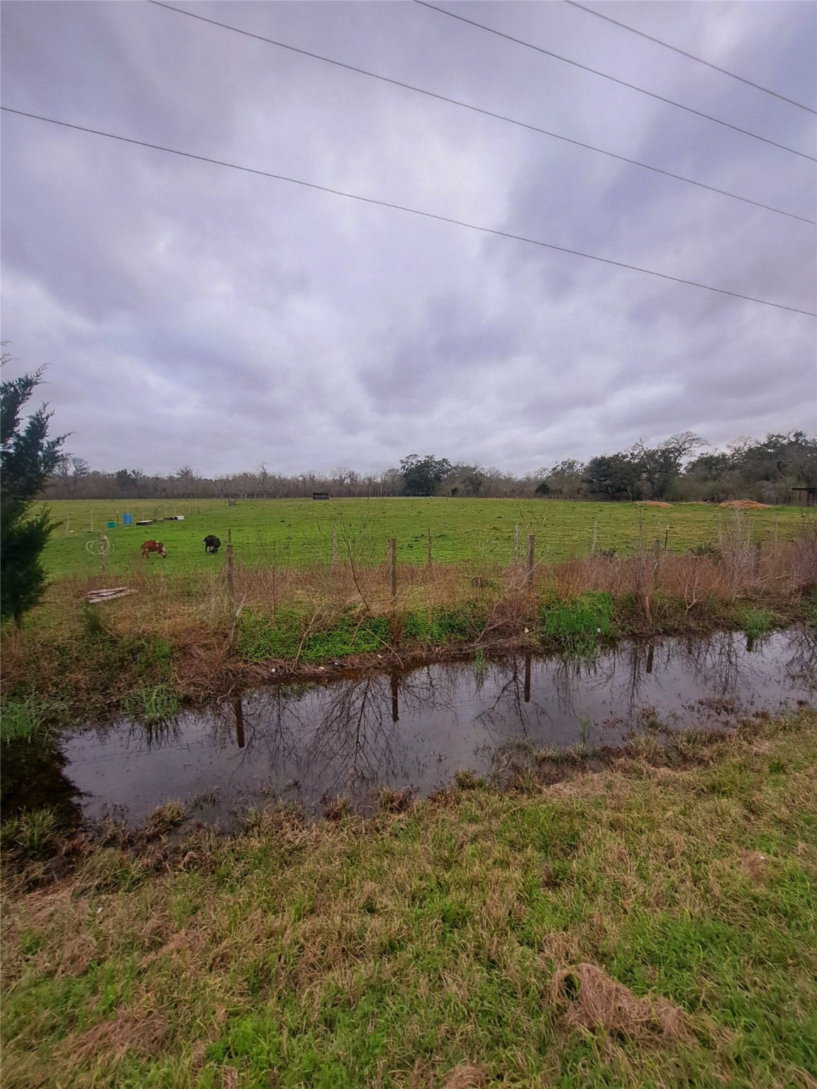 000 County Road 461 , Brazoria, TX, 77422 | 44953922 | Realty Texas LLC