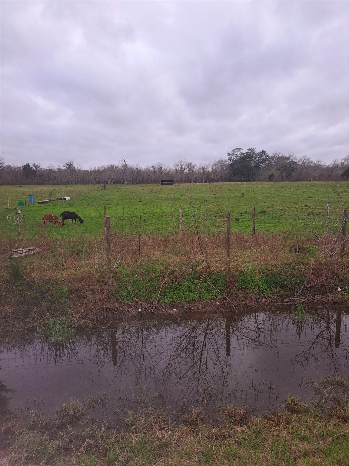 000 County Road 461 , Brazoria, TX, 77422 | 44953922 | Realty Texas LLC