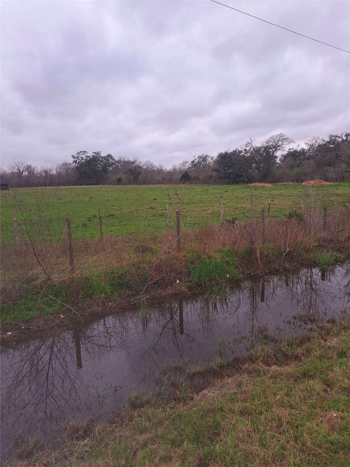 000 County Road 461 , Brazoria, TX, 77422 | 44953922 | Realty Texas LLC
