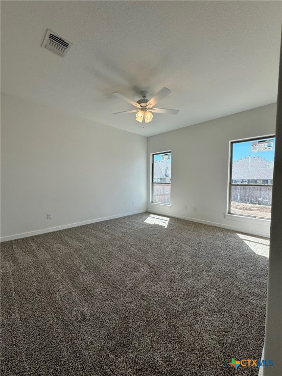 915 Bending Branch Way , Temple, TX, 76502 | 535309 | Realty Texas LLC