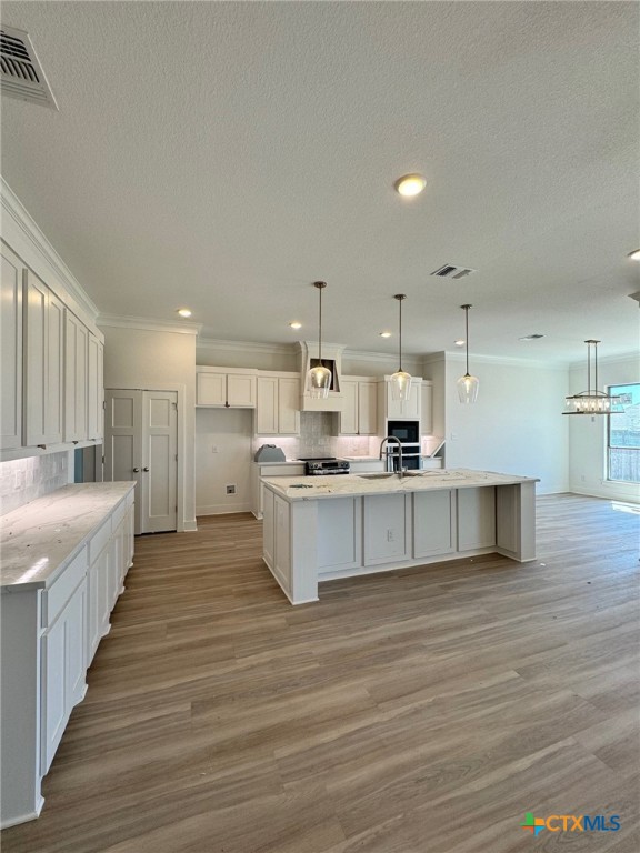 915 Bending Branch Way , Temple, TX, 76502 | 535309 | Realty Texas LLC