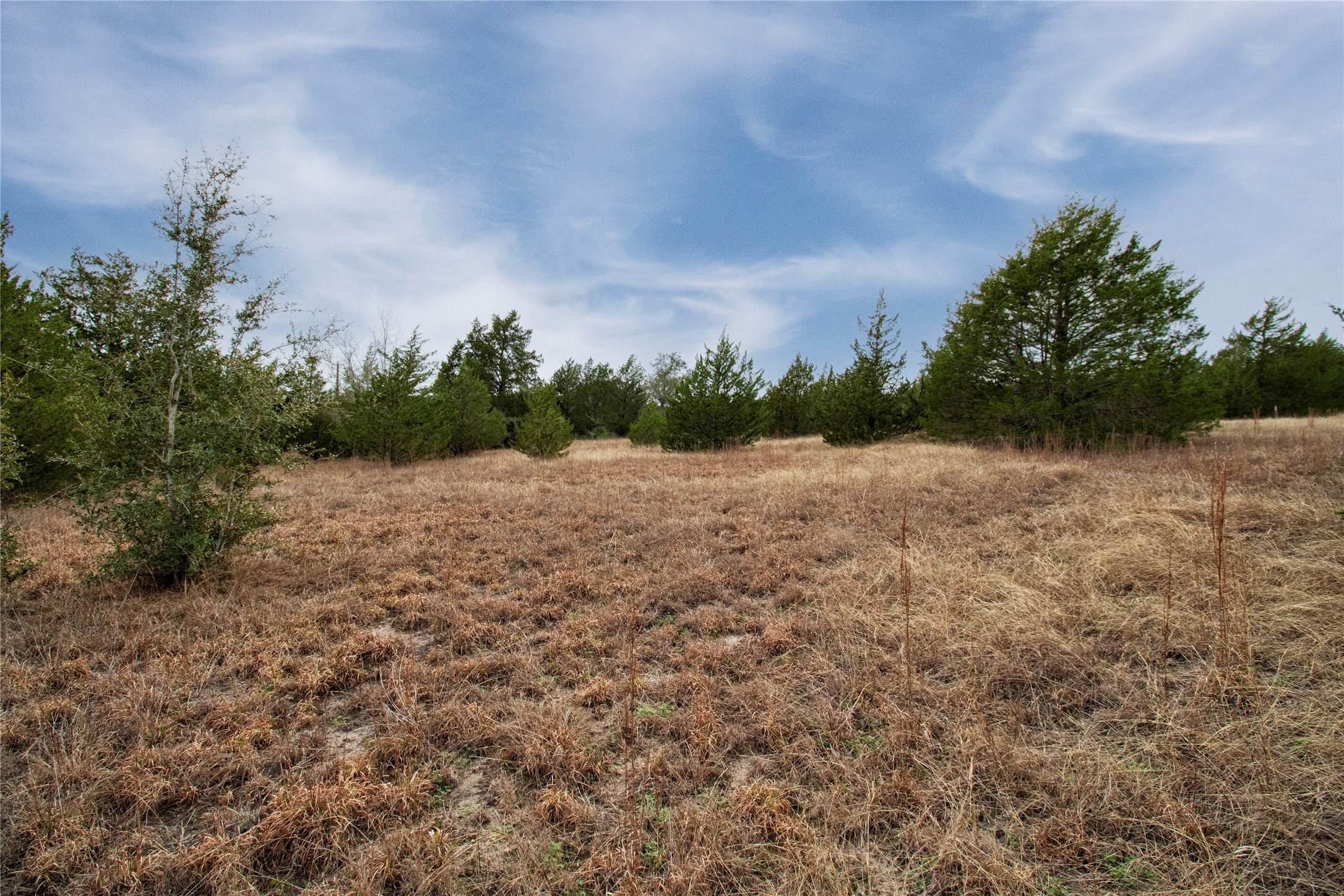 Tract 5 CR 226 , Schulenburg, TX, 78956 | 23765508 | Realty Texas LLC