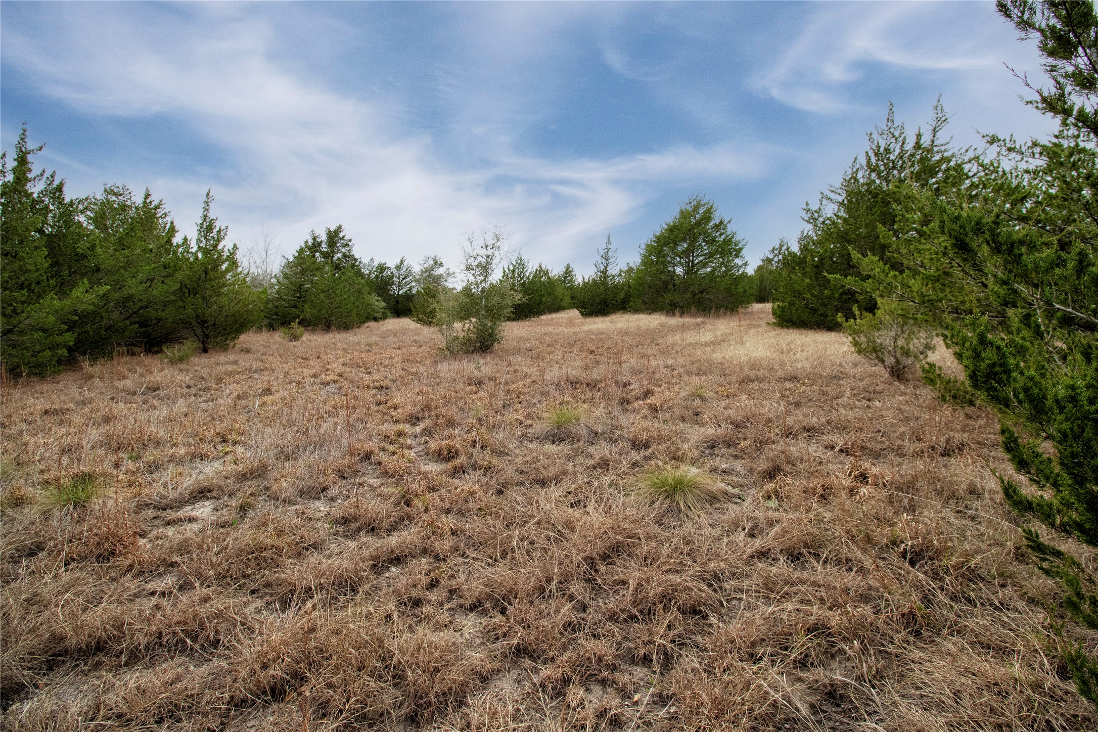 Tract 5 CR 226 , Schulenburg, TX, 78956 | 23765508 | Realty Texas LLC