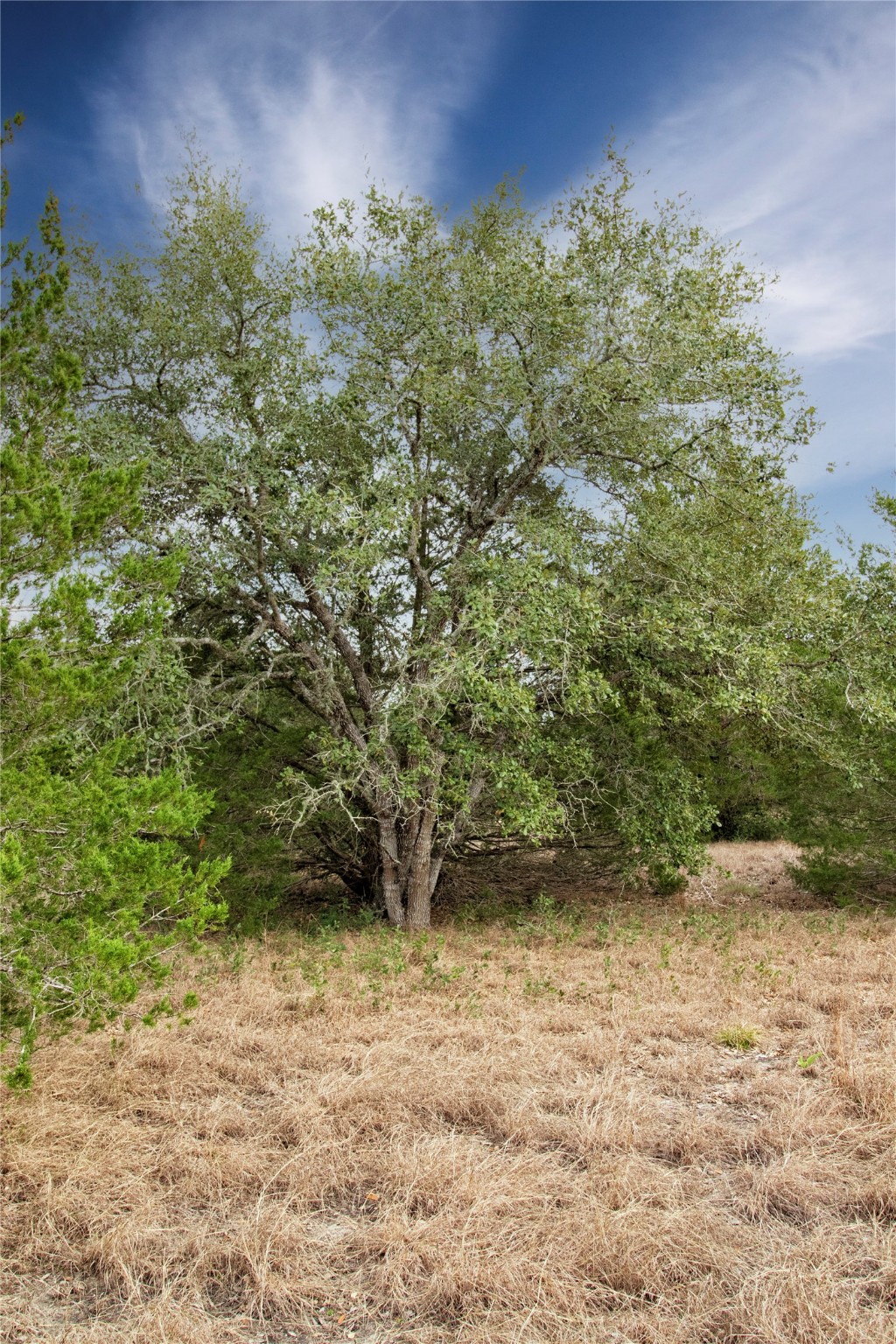 Tract 5 CR 226 , Schulenburg, TX, 78956 | 23765508 | Realty Texas LLC