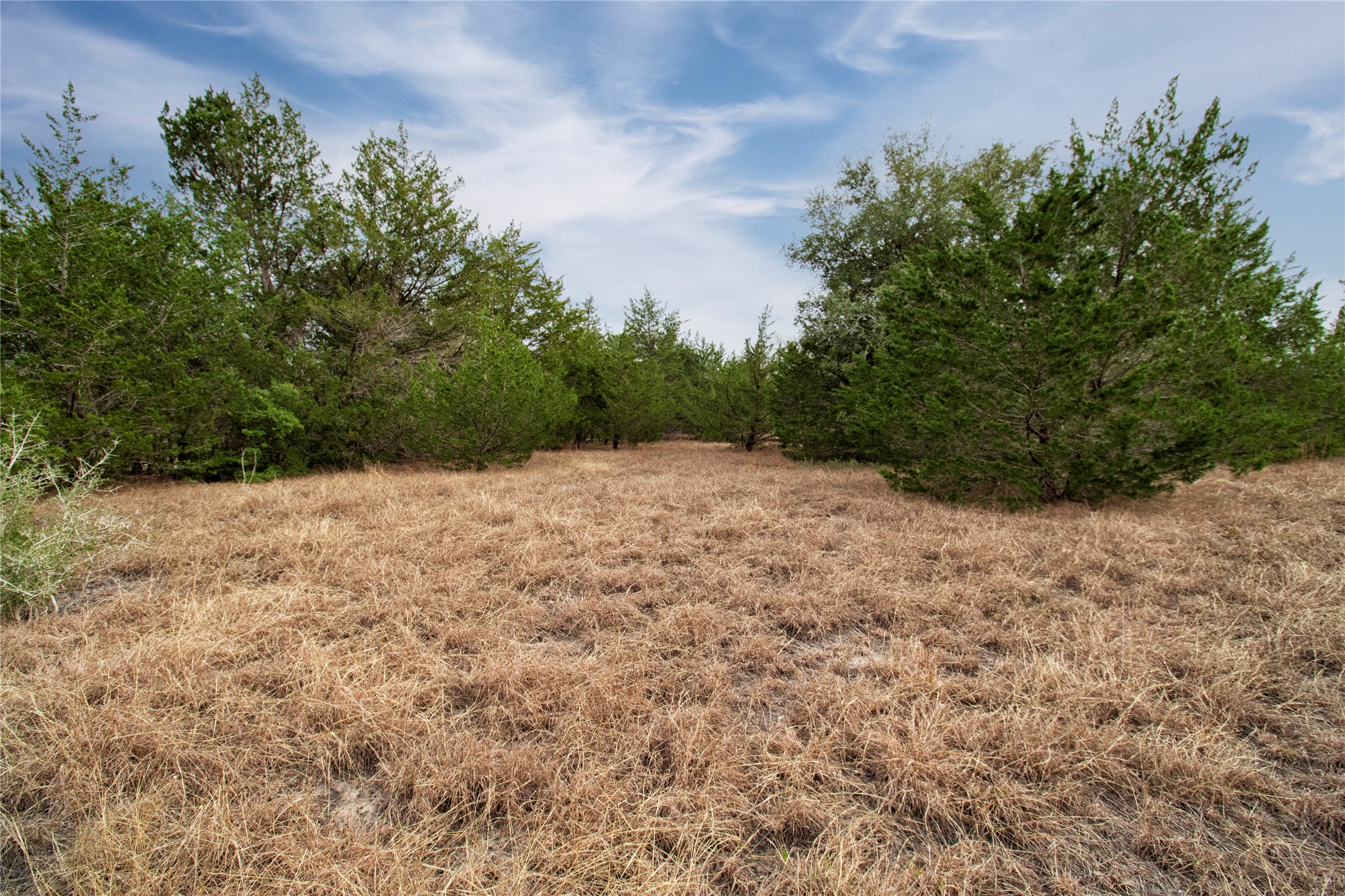 Tract 5 CR 226 , Schulenburg, TX, 78956 | 23765508 | Realty Texas LLC