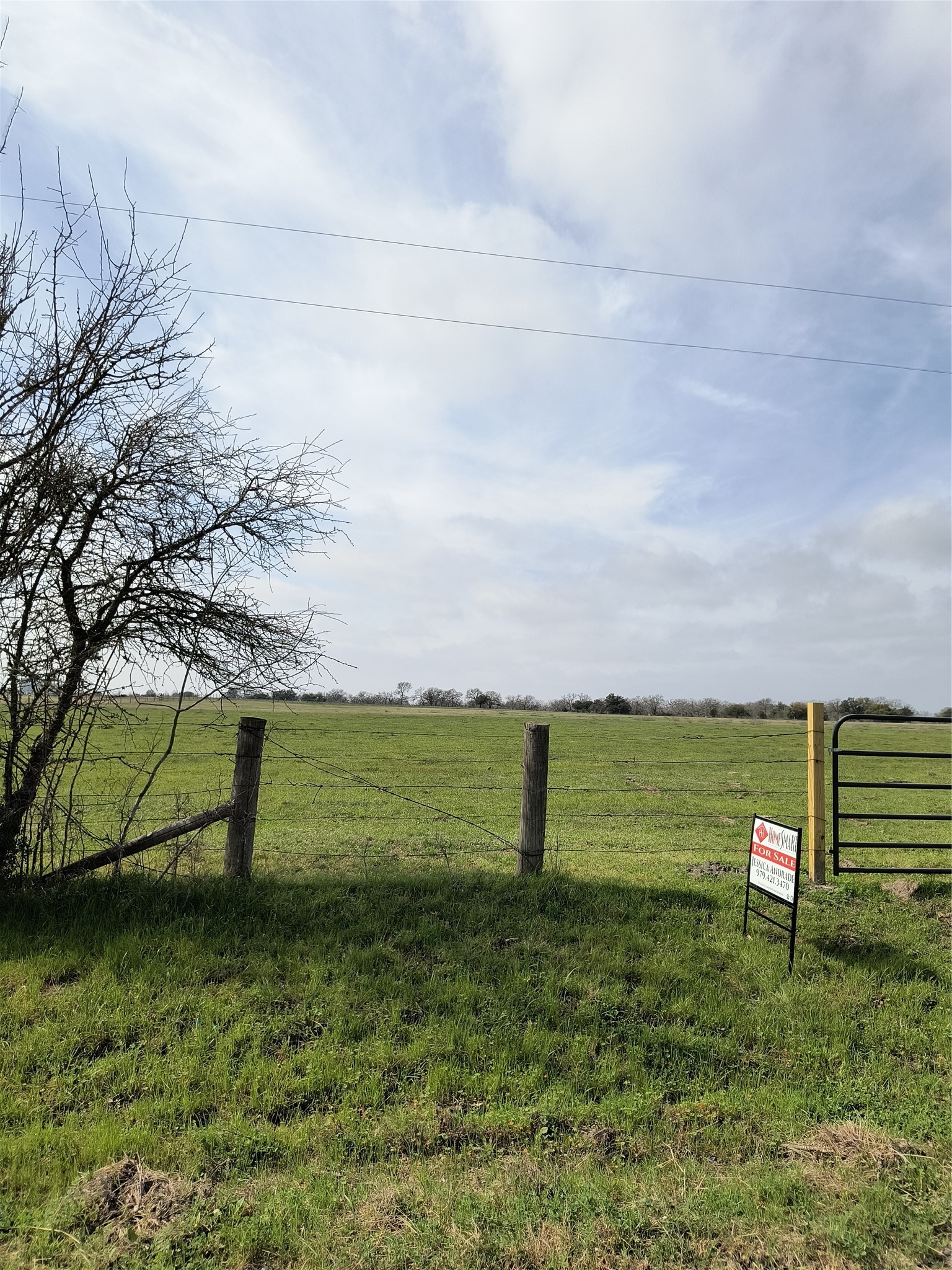 0000 County Road 274, Somerville, TX, 77879 | 50607644 | Realty Texas LLC