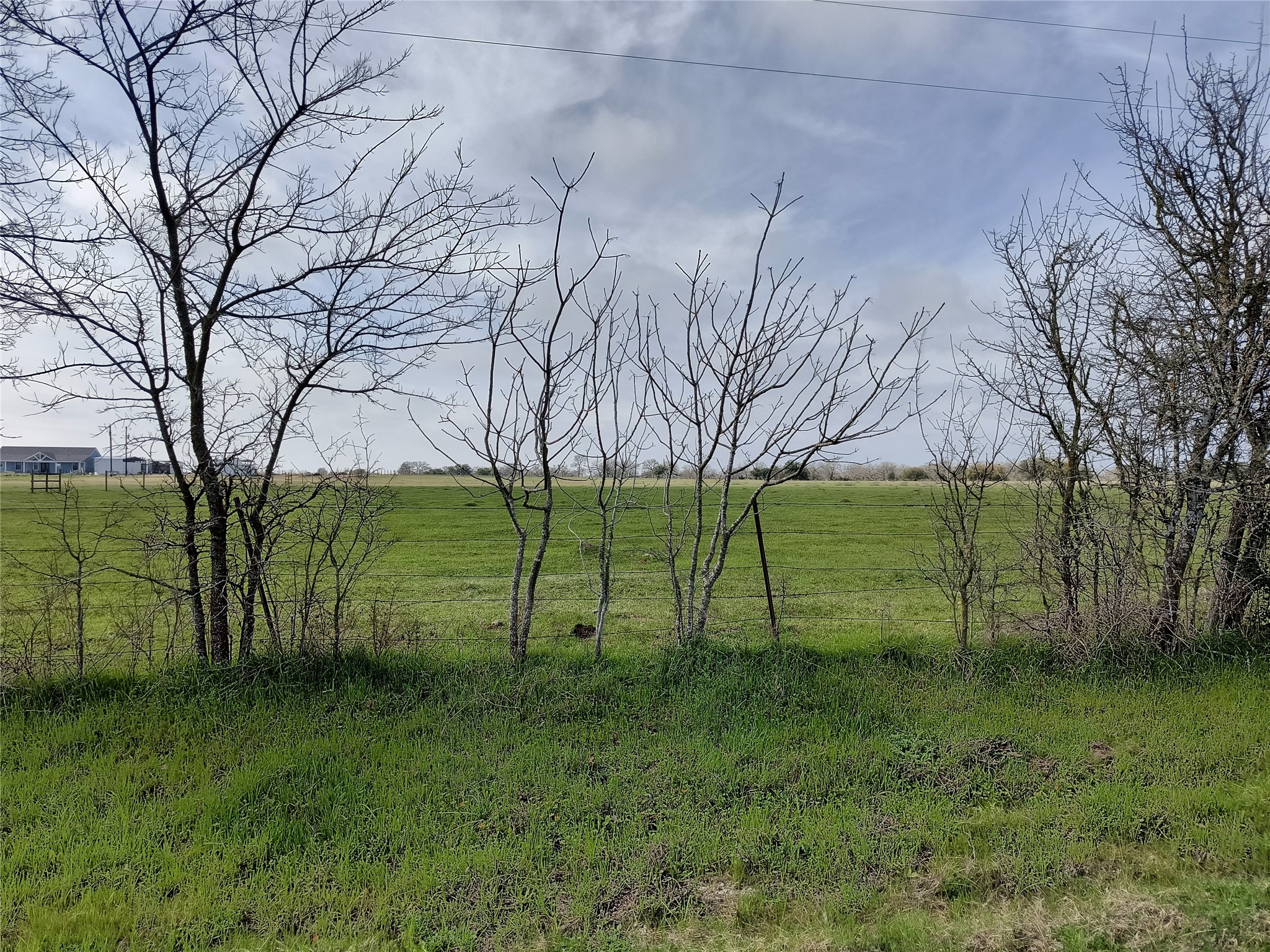 0000 County Road 274, Somerville, TX, 77879 | 50607644 | Realty Texas LLC