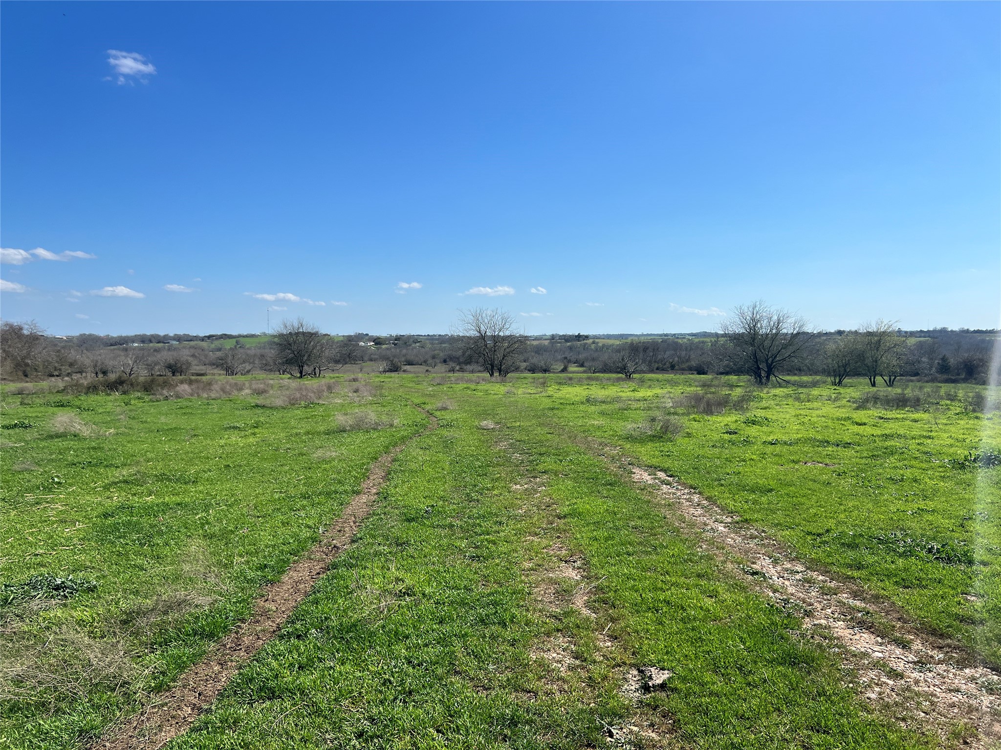 001 Blezinger Road, New Ulm, TX, 78950 | 54501275 | Realty Texas LLC