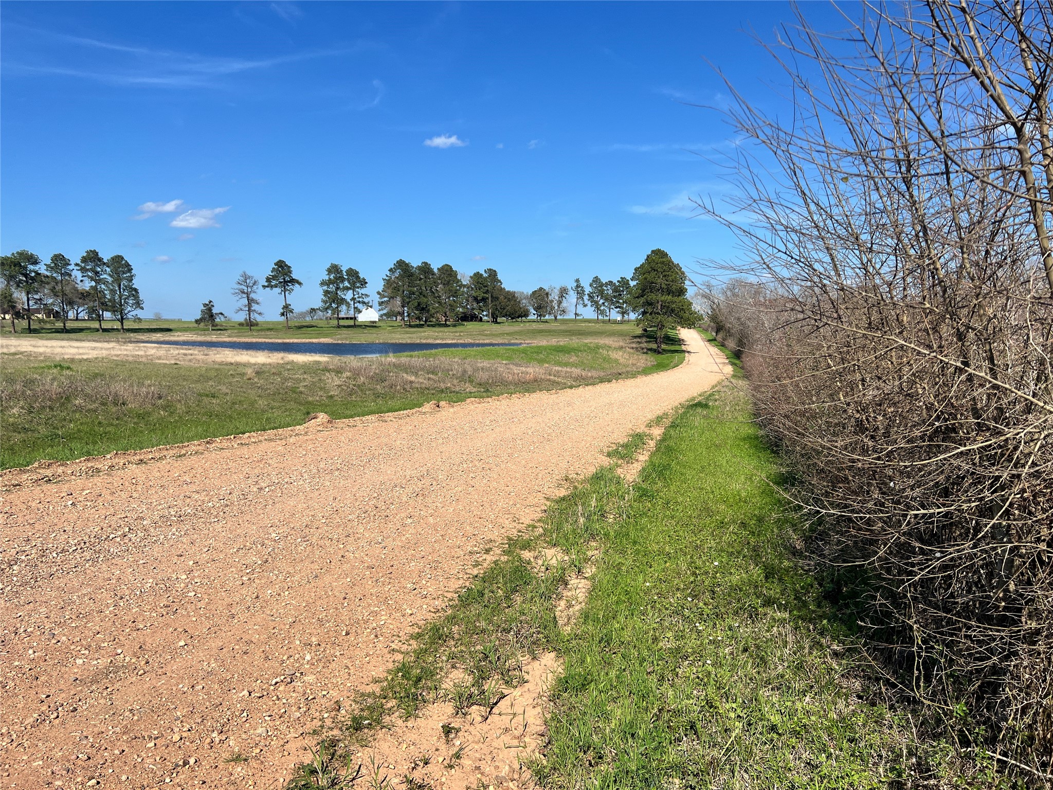 001 Blezinger Road, New Ulm, TX, 78950 | 54501275 | Realty Texas LLC