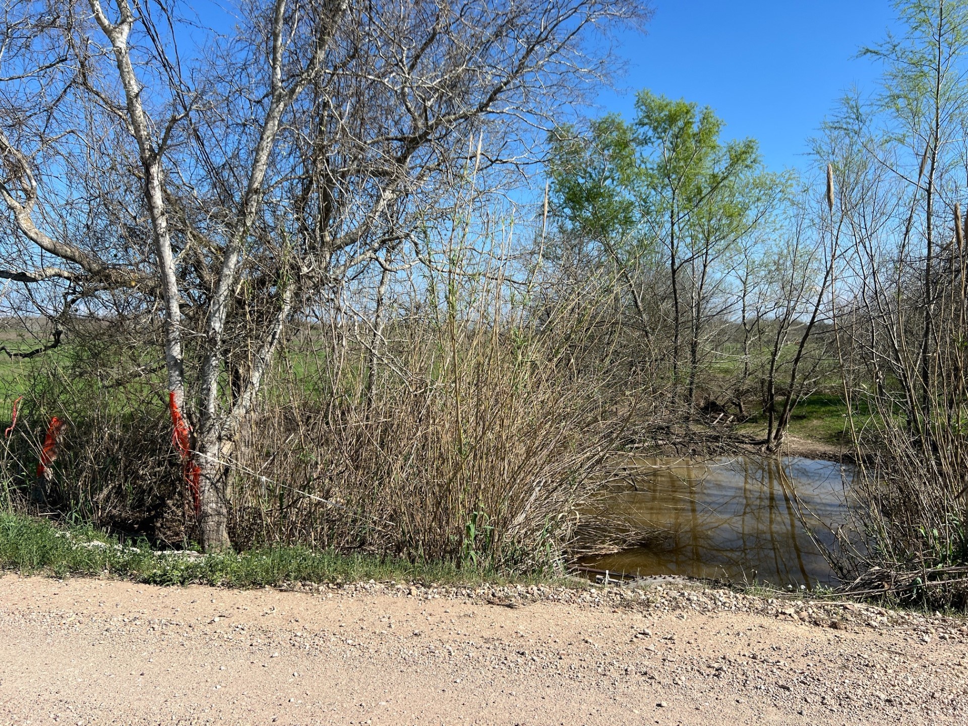 001 Blezinger Road, New Ulm, TX, 78950 | 54501275 | Realty Texas LLC