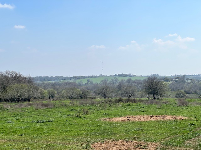 001 Blezinger Road, New Ulm, TX, 78950 | 54501275 | Realty Texas LLC
