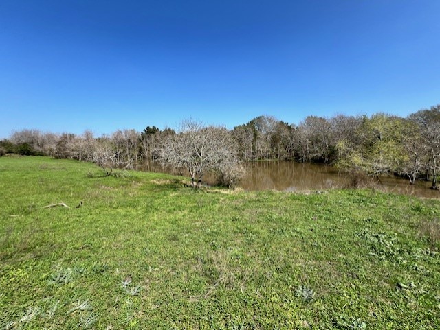 001 Blezinger Road, New Ulm, TX, 78950 | 54501275 | Realty Texas LLC