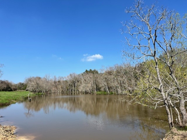 001 Blezinger Road, New Ulm, TX, 78950 | 54501275 | Realty Texas LLC