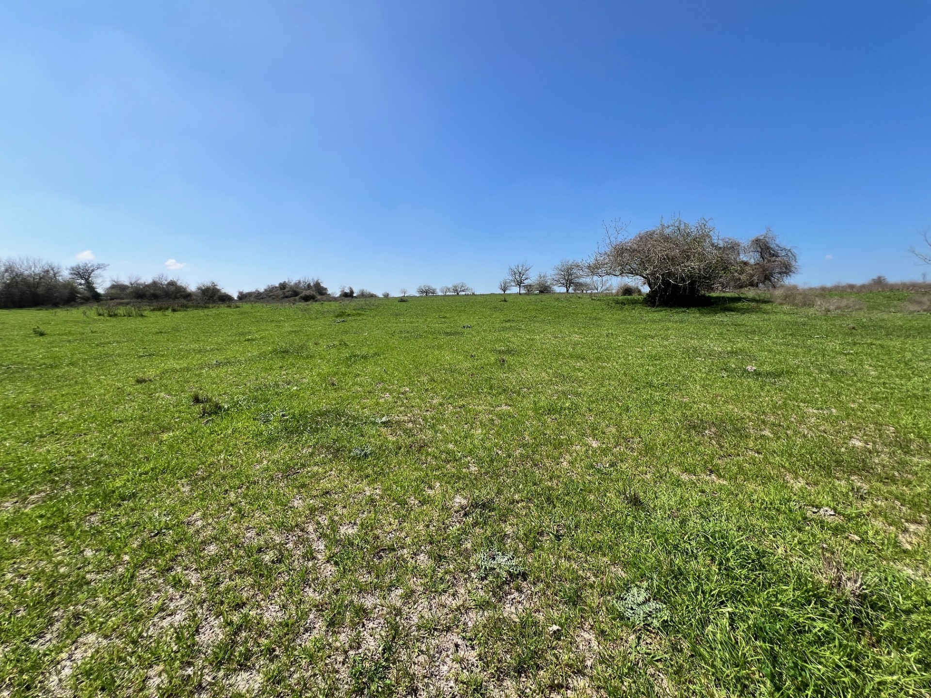 001 Blezinger Road, New Ulm, TX, 78950 | 54501275 | Realty Texas LLC