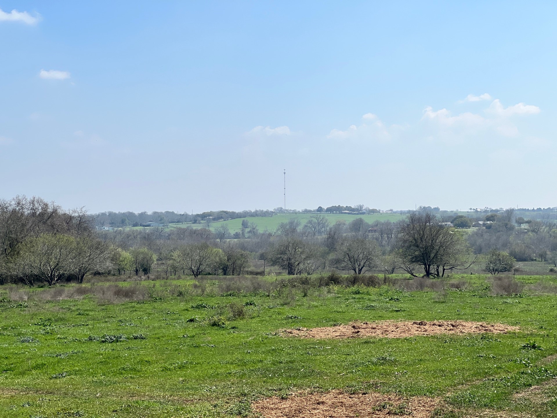 001 Blezinger Road, New Ulm, TX, 78950 | 54501275 | Realty Texas LLC