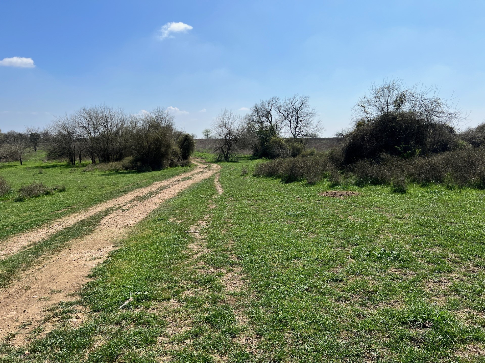 001 Blezinger Road, New Ulm, TX, 78950 | 54501275 | Realty Texas LLC