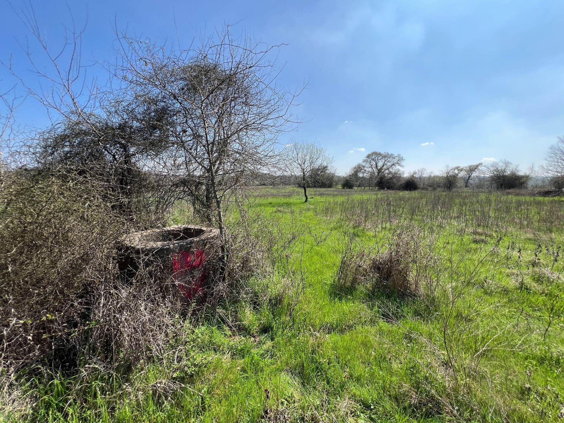001 Blezinger Road, New Ulm, TX, 78950 | 54501275 | Realty Texas LLC