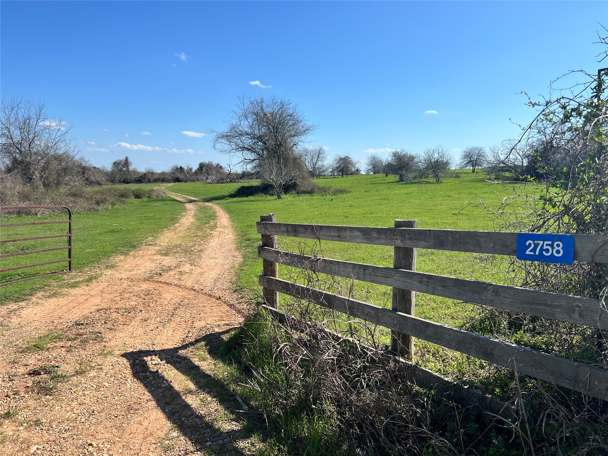 001 Blezinger Road, New Ulm, TX, 78950 | 54501275 | Realty Texas LLC