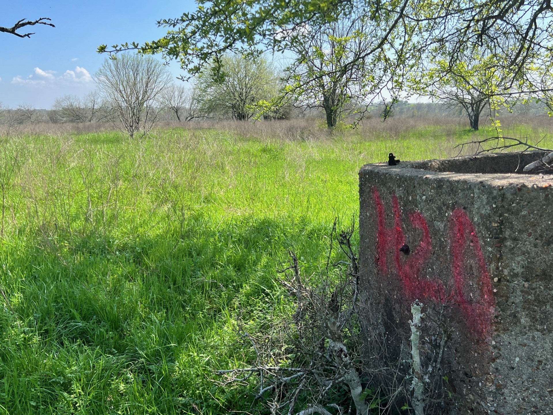 001 Blezinger Road, New Ulm, TX, 78950 | 54501275 | Realty Texas LLC