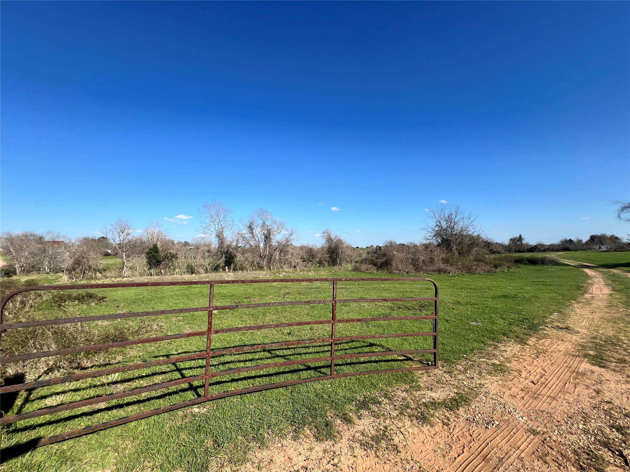 001 Blezinger Road, New Ulm, TX, 78950 | 54501275 | Realty Texas LLC