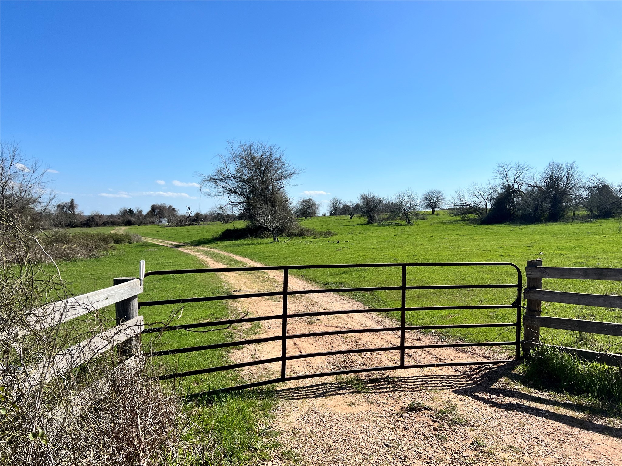 001 Blezinger Road, New Ulm, TX, 78950 | 54501275 | Realty Texas LLC