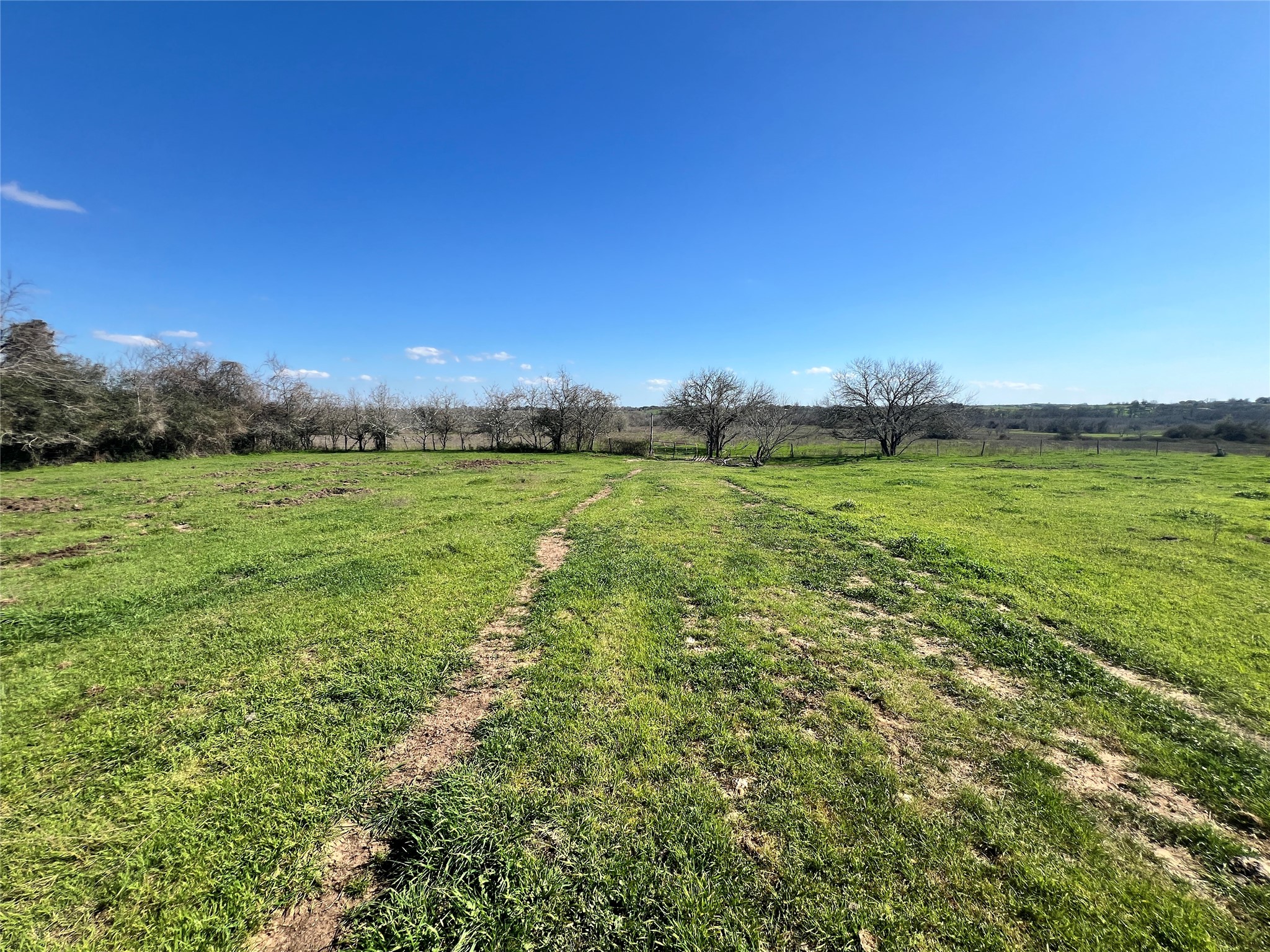 001 Blezinger Road, New Ulm, TX, 78950 | 54501275 | Realty Texas LLC