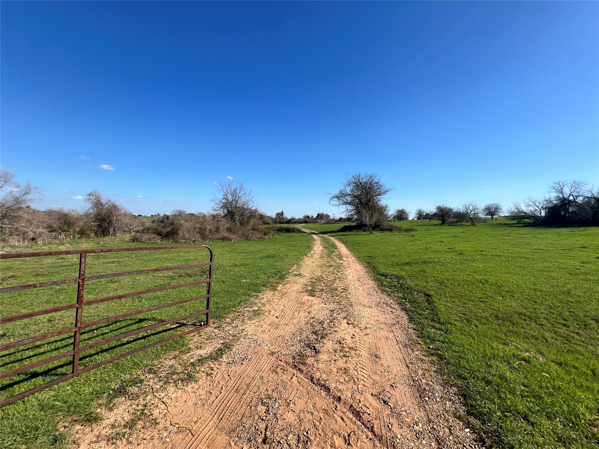 001 Blezinger Road, New Ulm, TX, 78950 | 54501275 | Realty Texas LLC